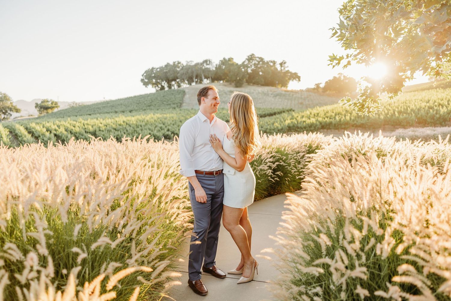 A couple embraces on a path surrounded by golden wheat fields and vineyards at sunset in wine country.