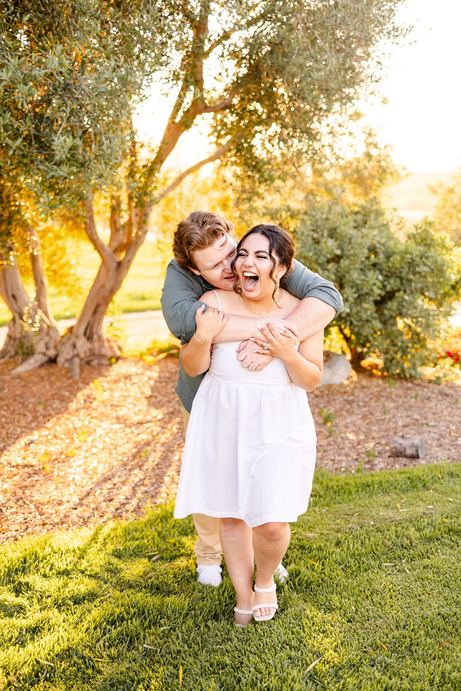 A couple embraces in a warm sunset glow beneath olive trees in a garden setting.