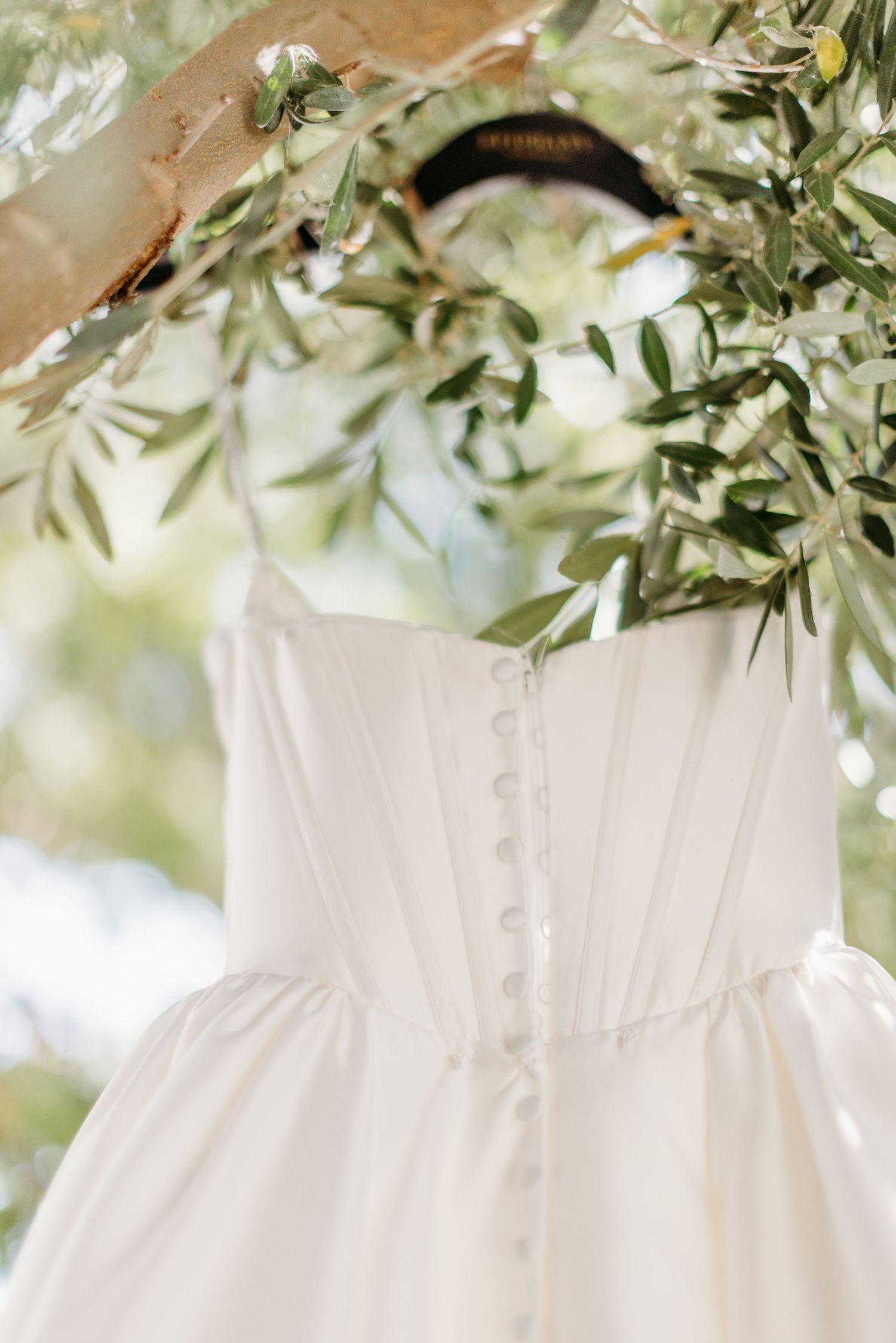 A row of elegant white wedding dresses hanging under olive tree branches in soft natural lighting.