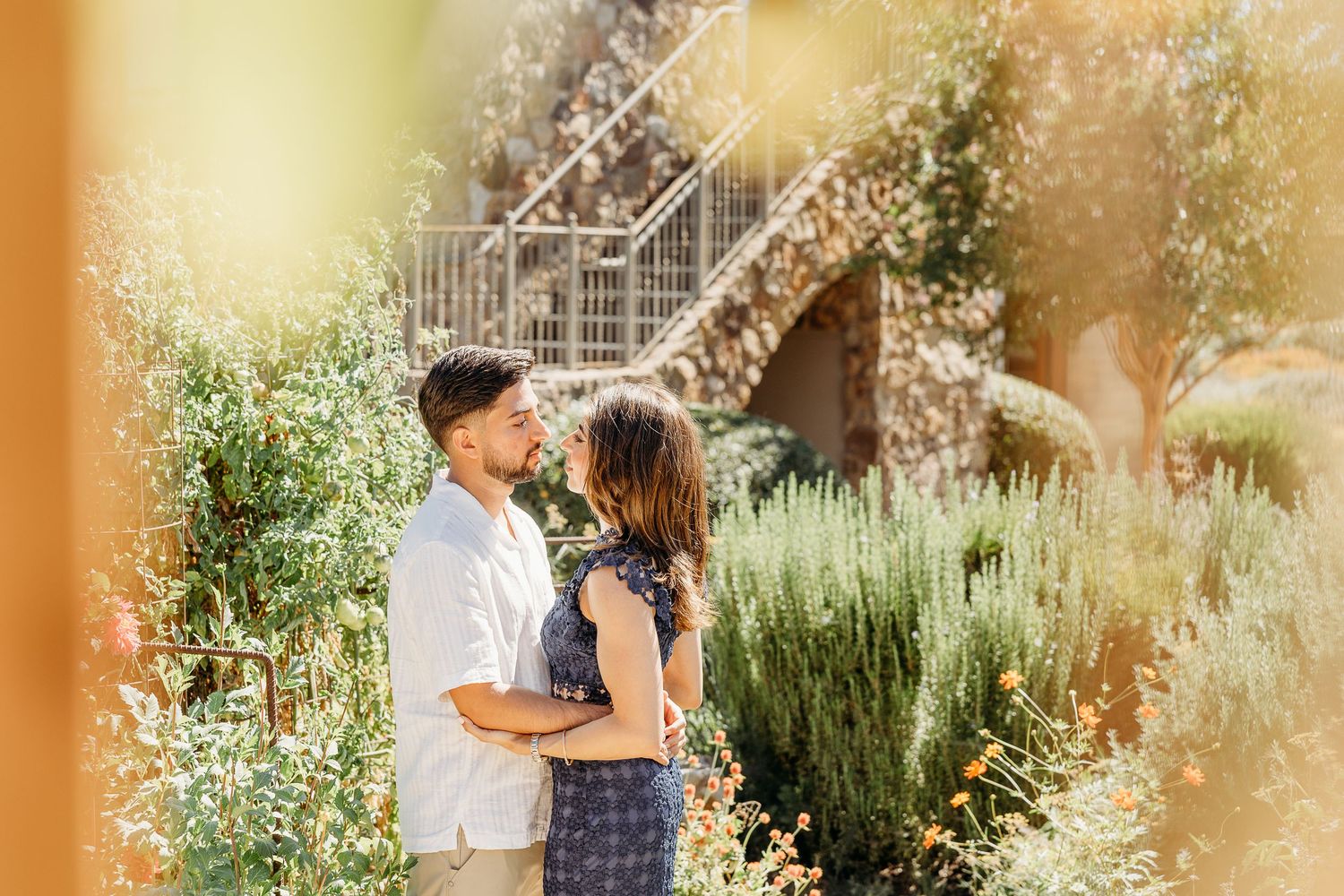 Sunlit garden scene at winery with golden bokeh effect and natural landscaping.