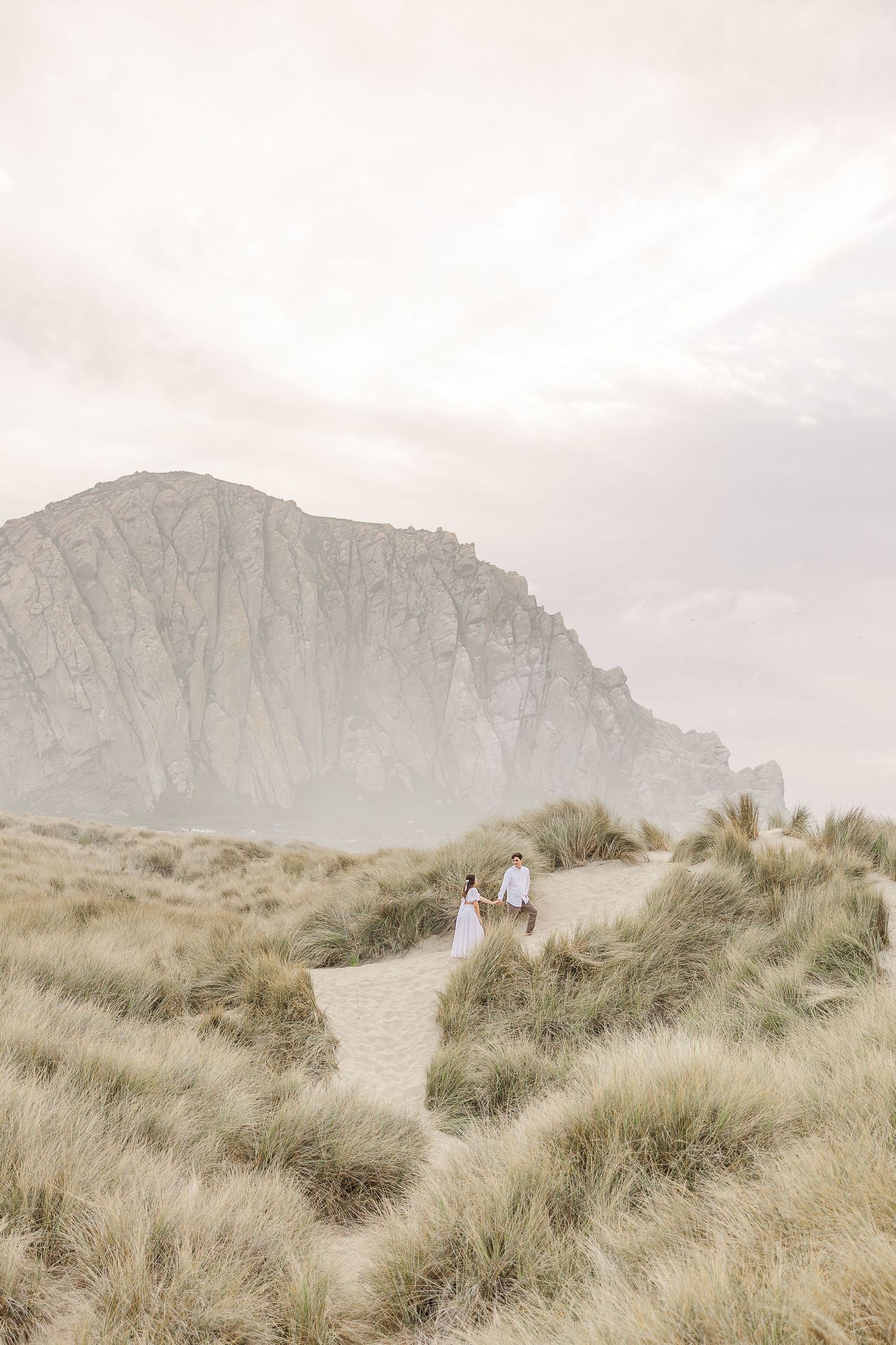 Scenic wedding photos against mountain backdrop with tall grass in foreground.