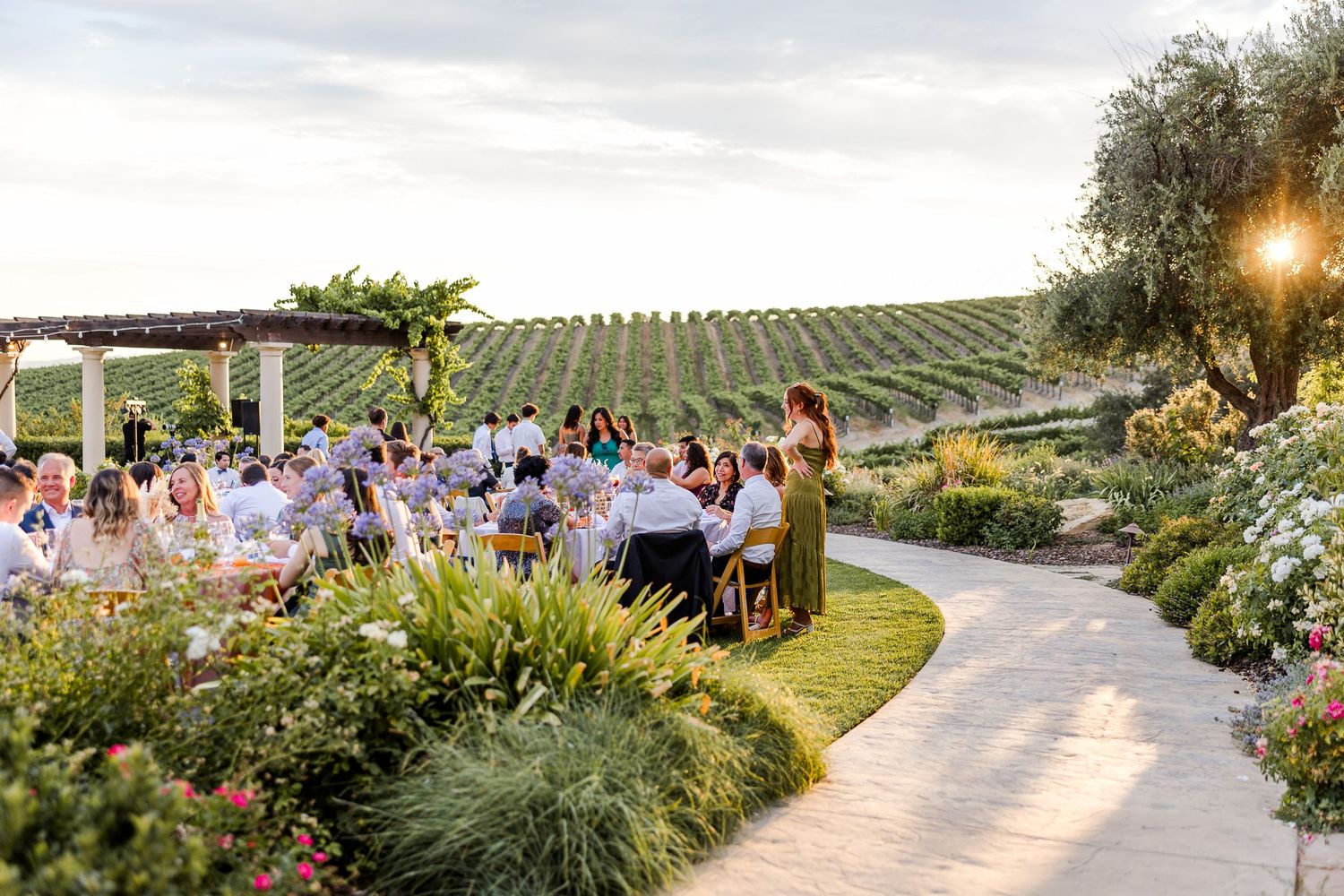 Guests gather for an outdoor wedding ceremony overlooking vineyard rows at sunset.
