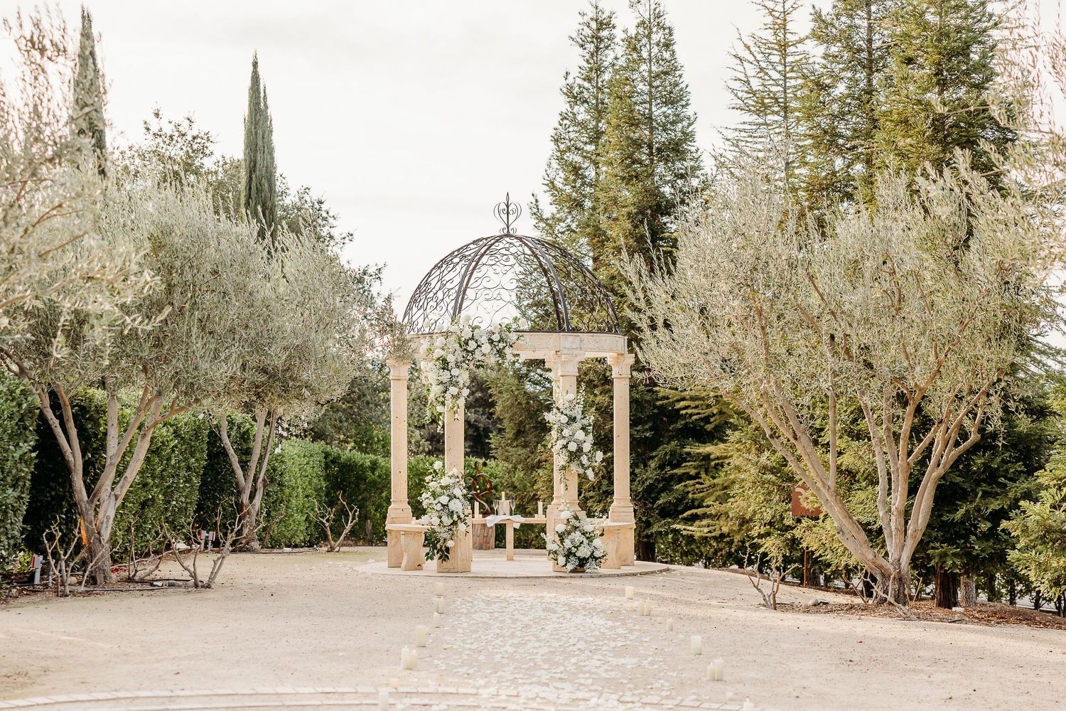 A serene garden pathway lined with olive trees and natural landscaping creates a romantic outdoor setting.