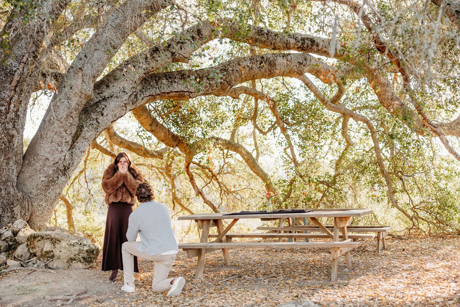 A couple shares a tender moment under the branches of a large tree in a natural outdoor setting.