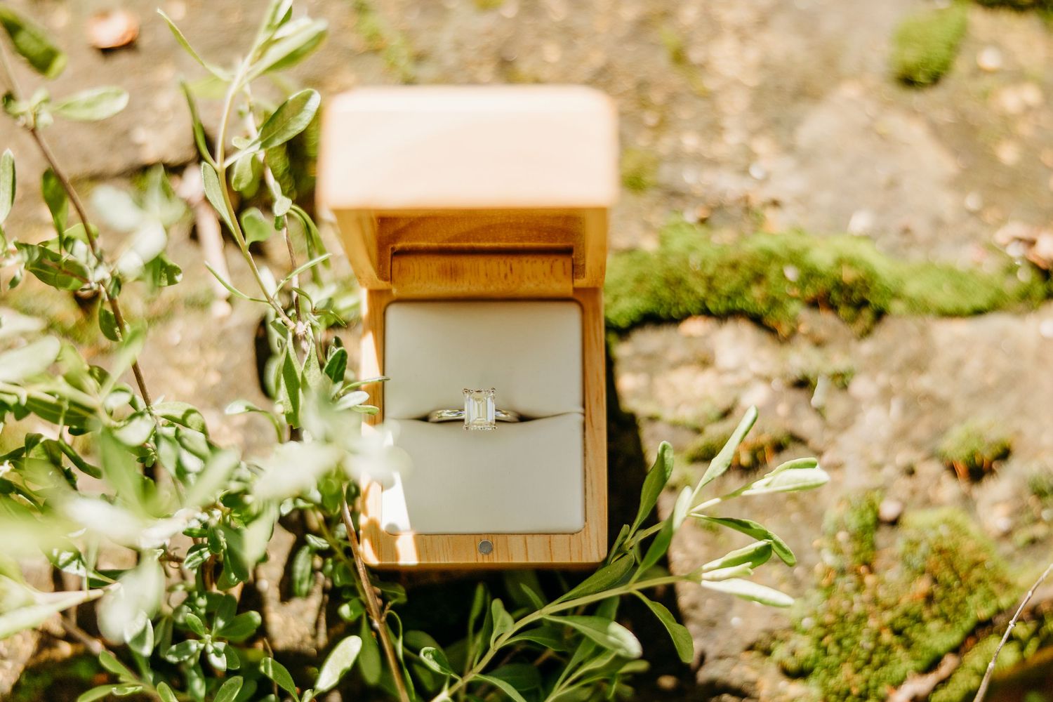 Wooden boxes and olive branches arranged in a rustic outdoor setting.