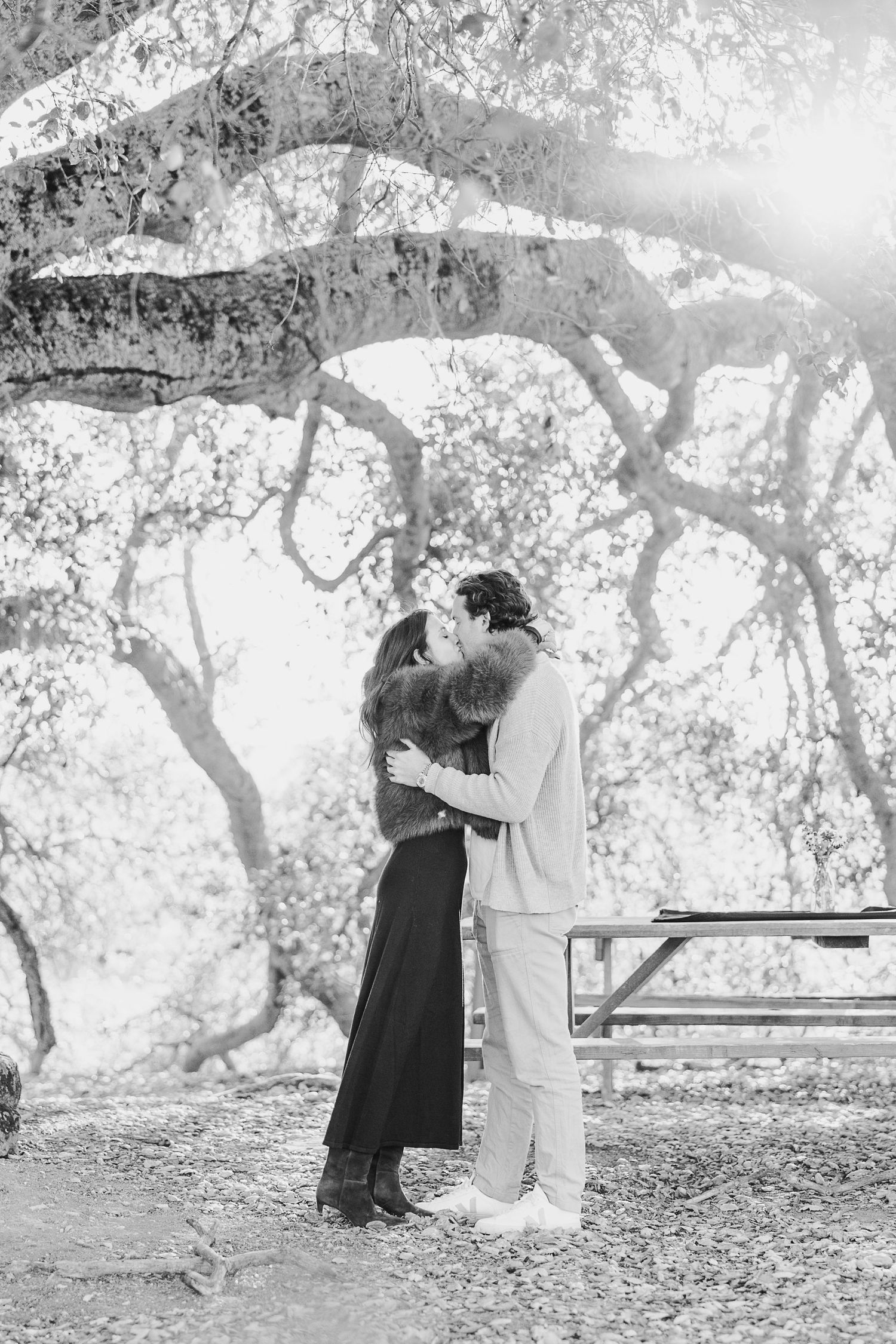 Romantic couple embraces under a tree canopy in black and white photography.