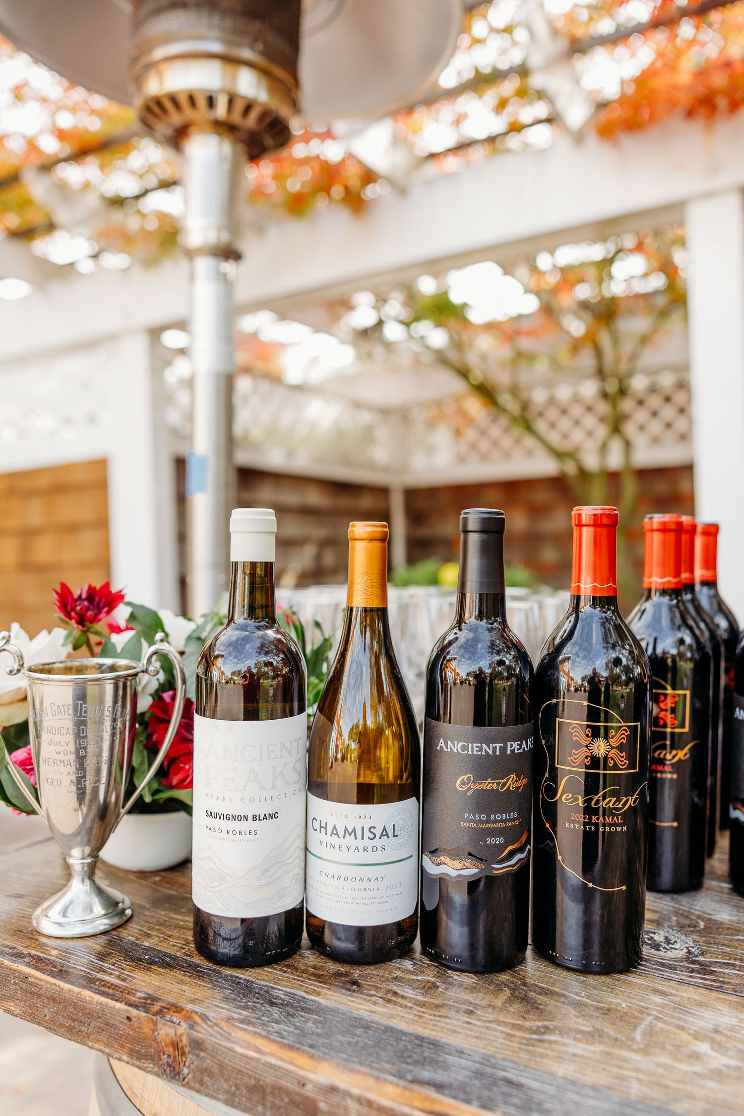 Collection of wine bottles displayed on a wooden table under autumn-decorated ceiling.