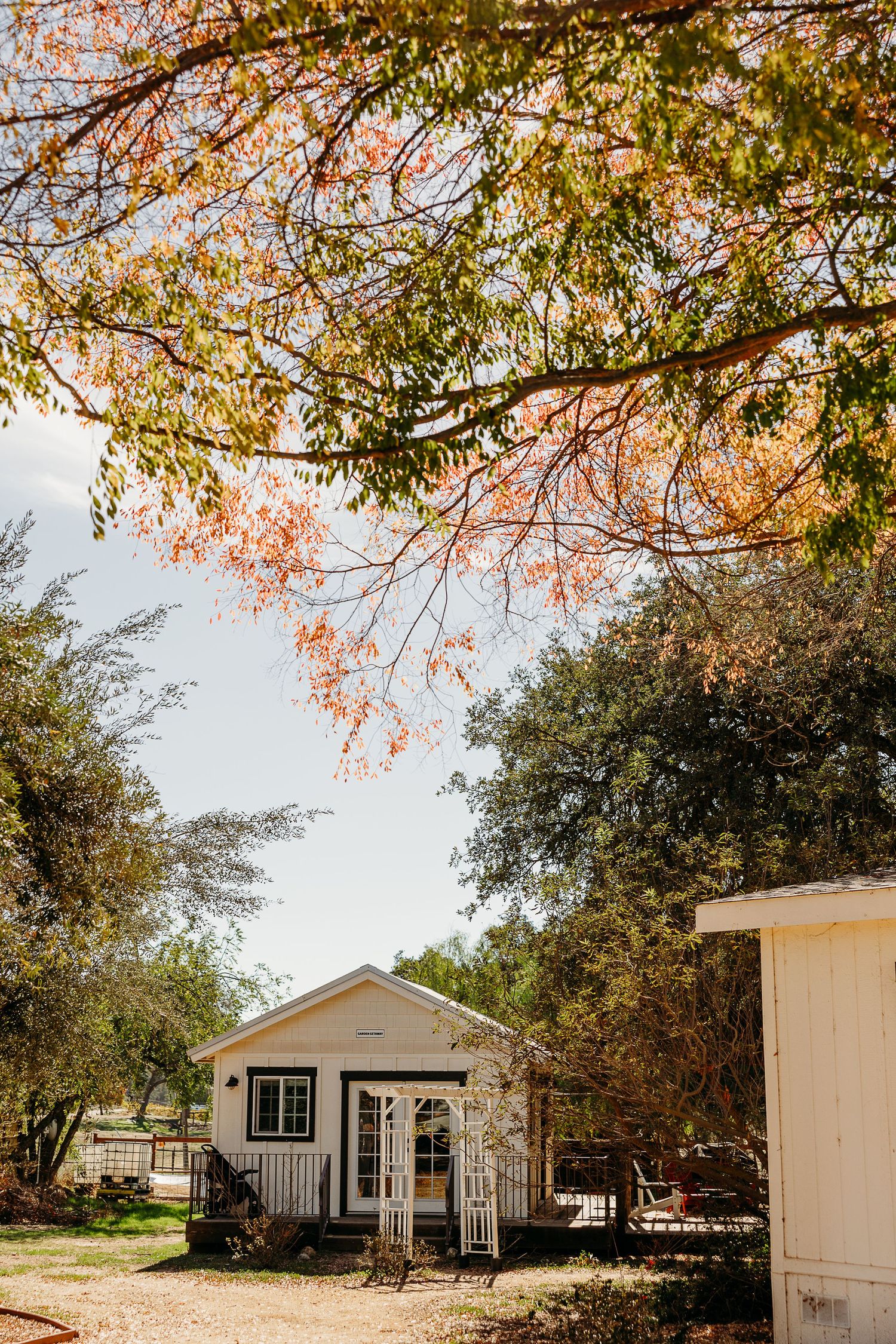 Rustic white buildings with autumn trees overhead creating a warm, inviting outdoor venue setting.