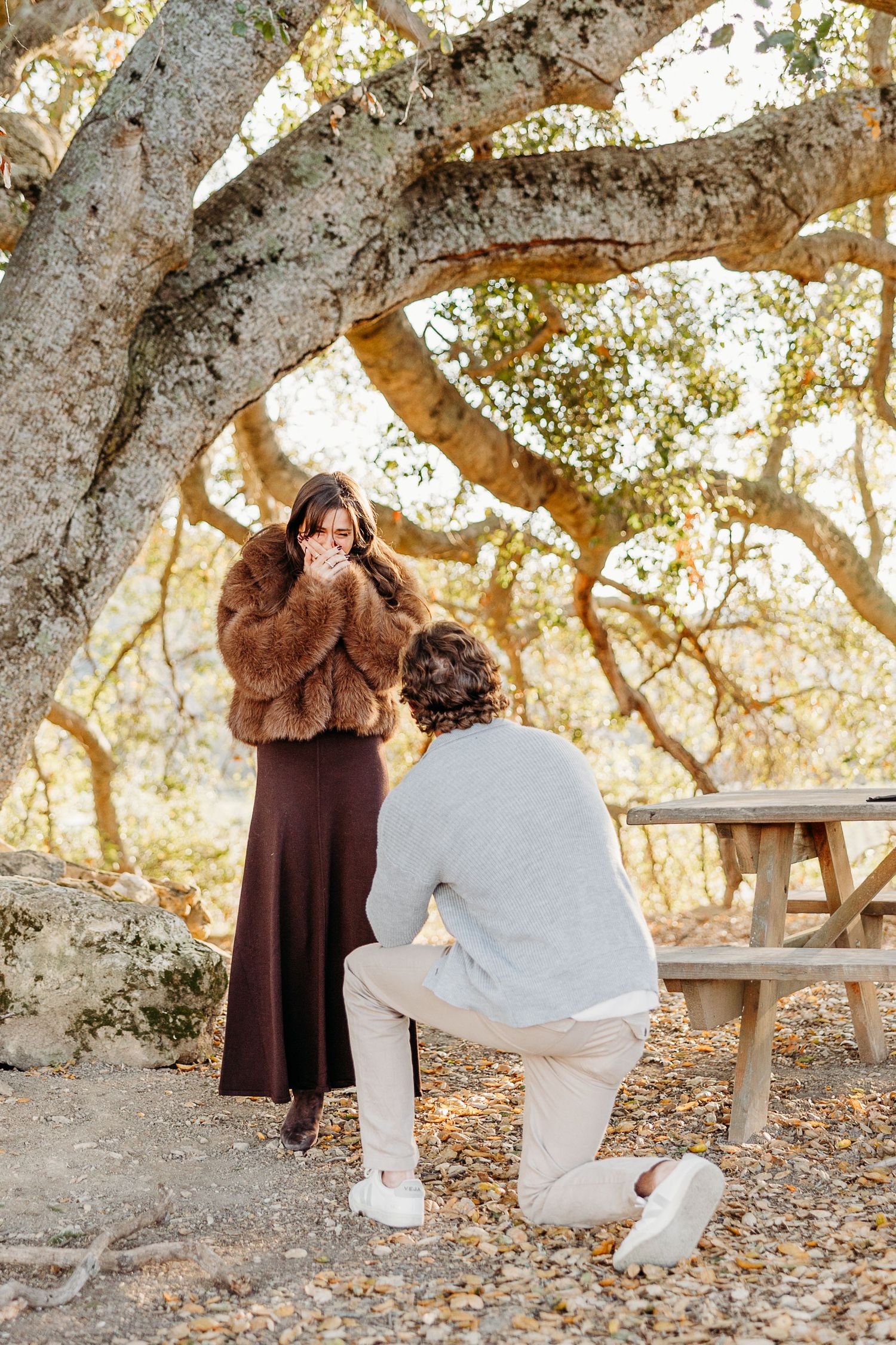 Romantic couple poses under a majestic oak tree in a natural outdoor setting during golden hour.