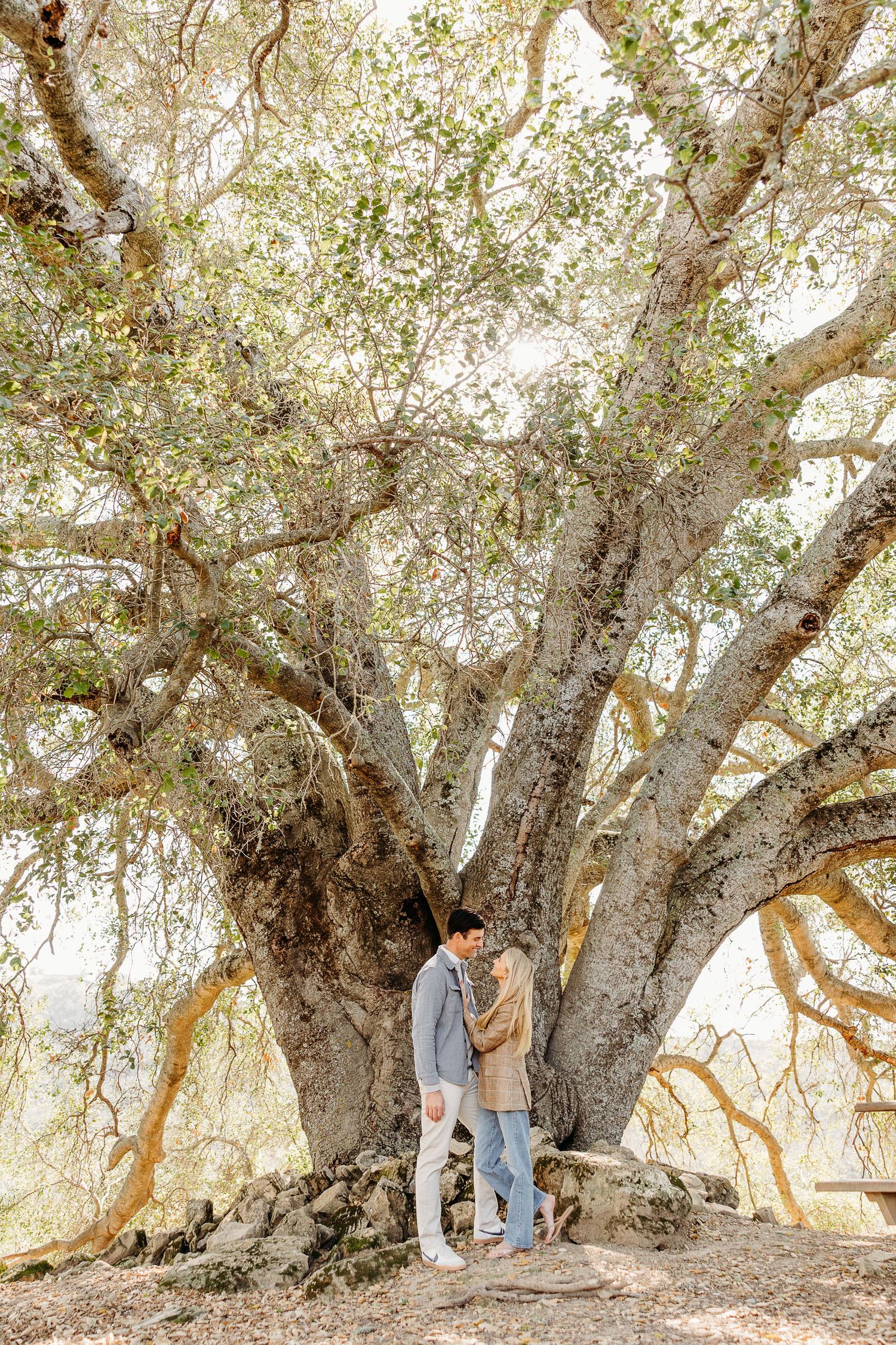 A couple stands beneath a majestic old oak tree with gnarled roots and spreading branches in warm sunlit nature.