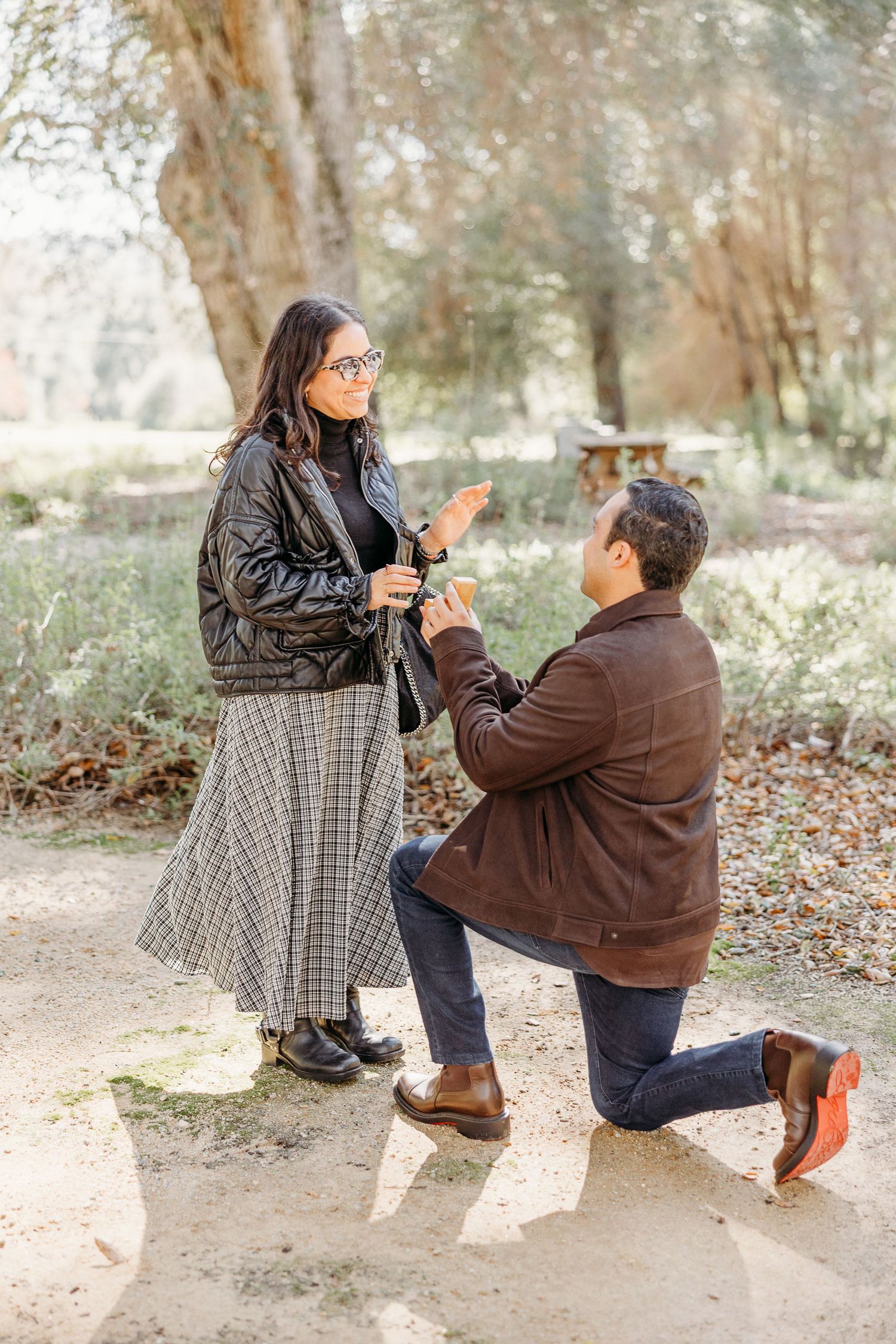 A romantic proposal moment captured in a series of photos showing a couple in a park setting.