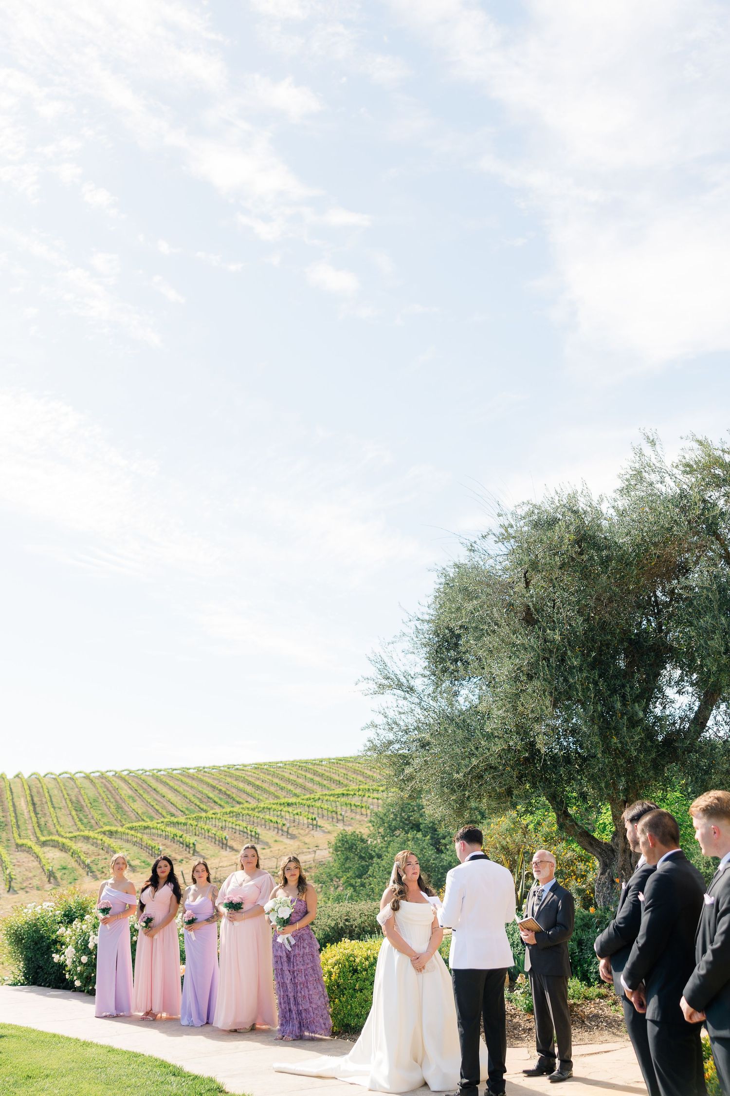Bridesmaids in pink and lavender gowns stand beside bride and groom during outdoor vineyard wedding ceremony.