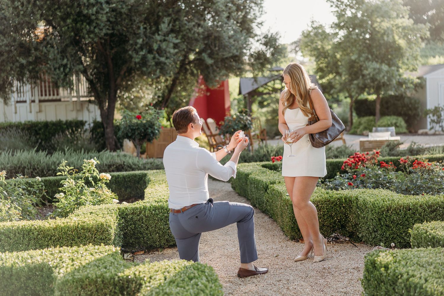 A romantic outdoor garden proposal scene with someone kneeling in front of their partner at sunset.