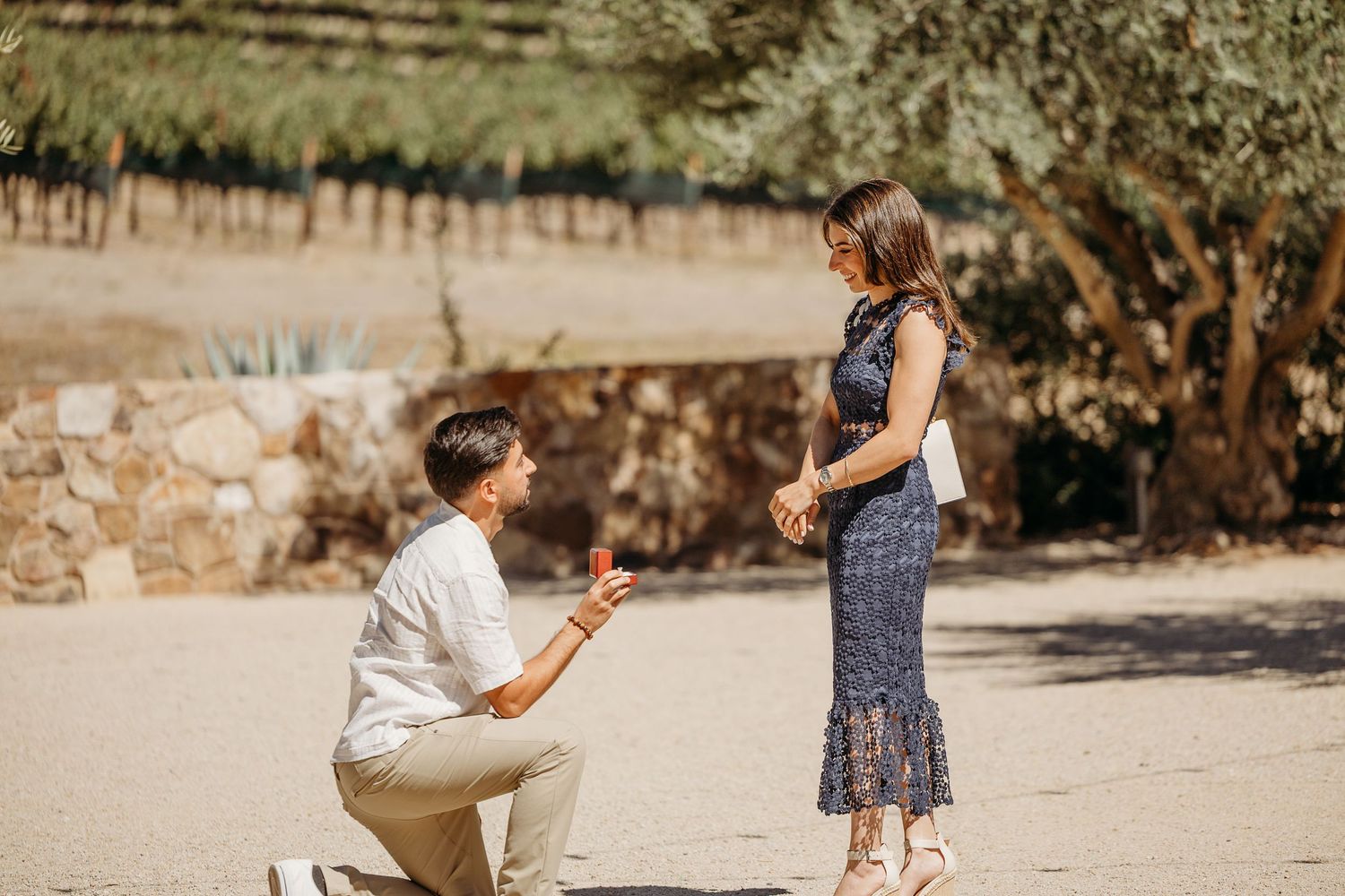 A romantic outdoor proposal moment on a sunny day with a stone wall and trees in the background.
