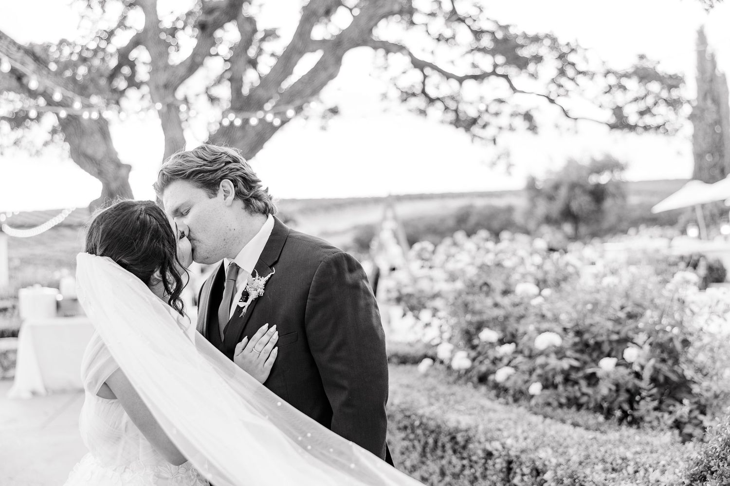 A black and white image captures an intimate wedding moment beneath a tree.