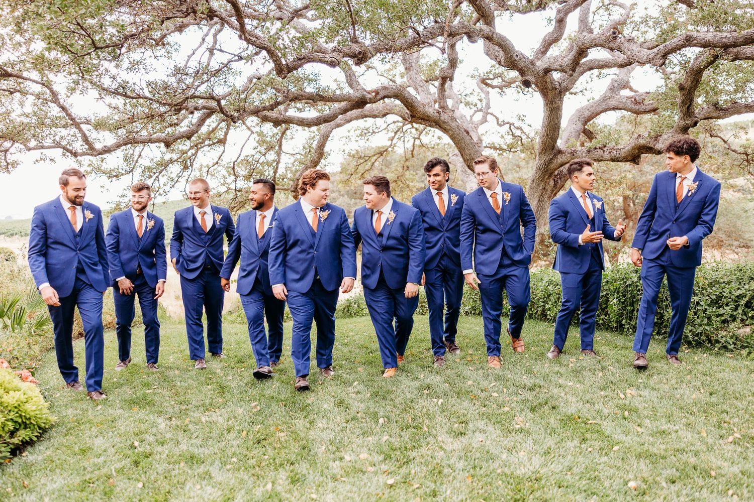 Wedding party in coordinated blue suits walking together on a grassy lawn.