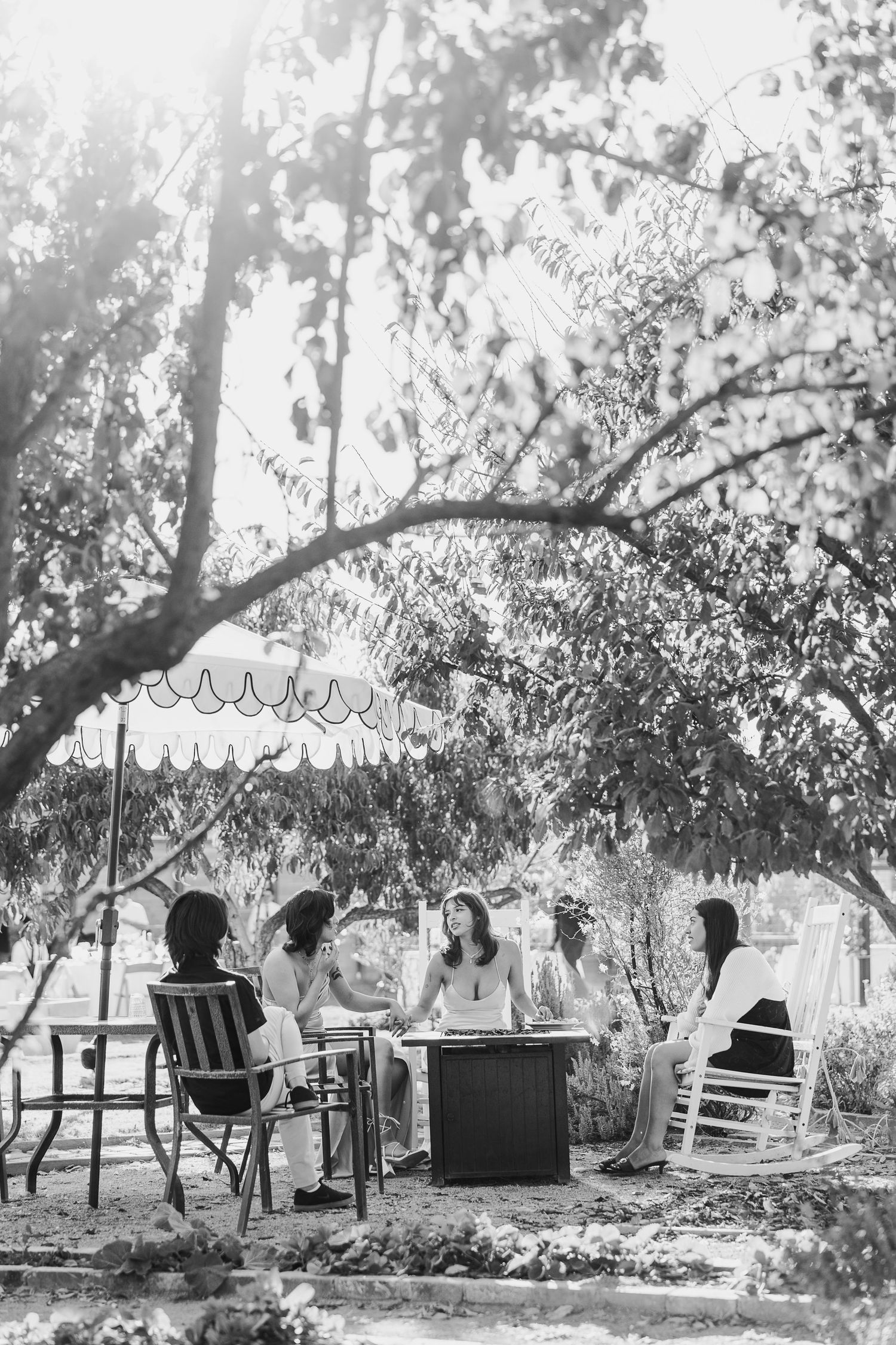 A black and white photo shows chairs arranged under trees at an outdoor venue.