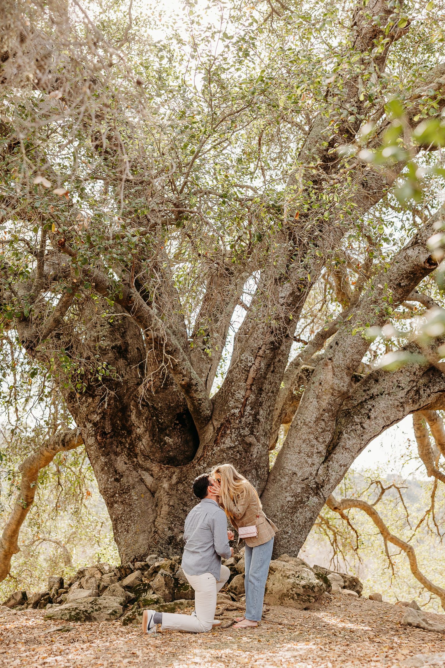 Couple sitting beneath ancient olive trees in a romantic outdoor setting.