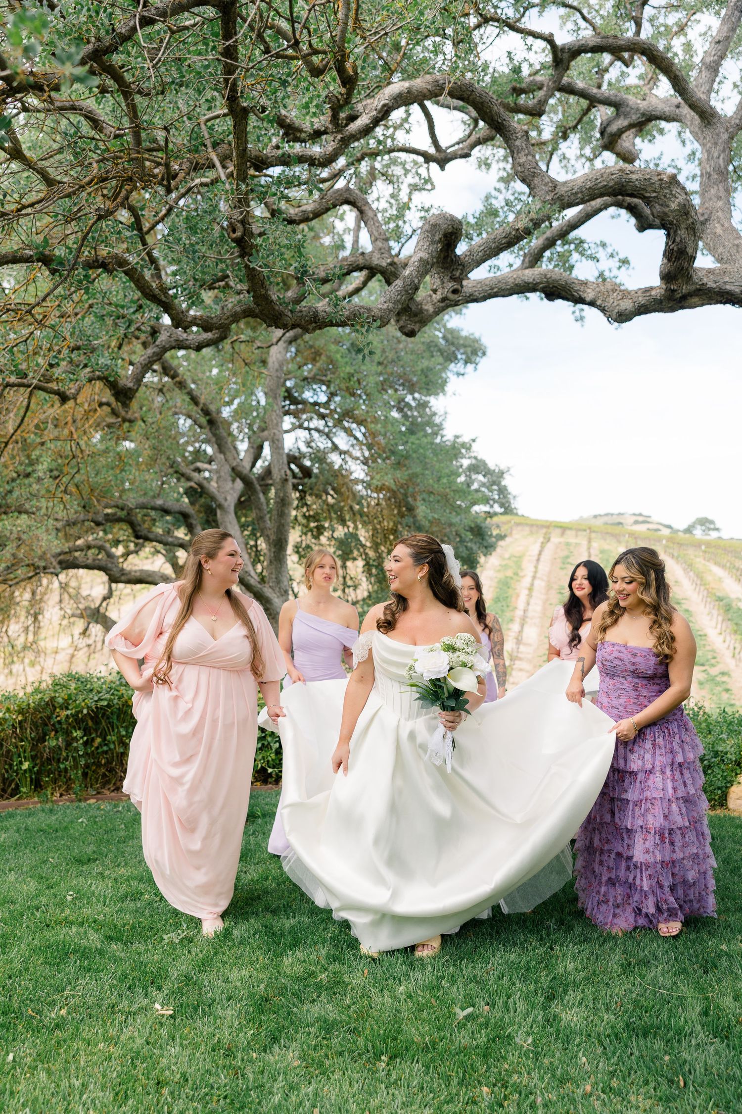 Bride in white gown twirls with four bridesmaids in purple and pink dresses under oak tree at vineyard.