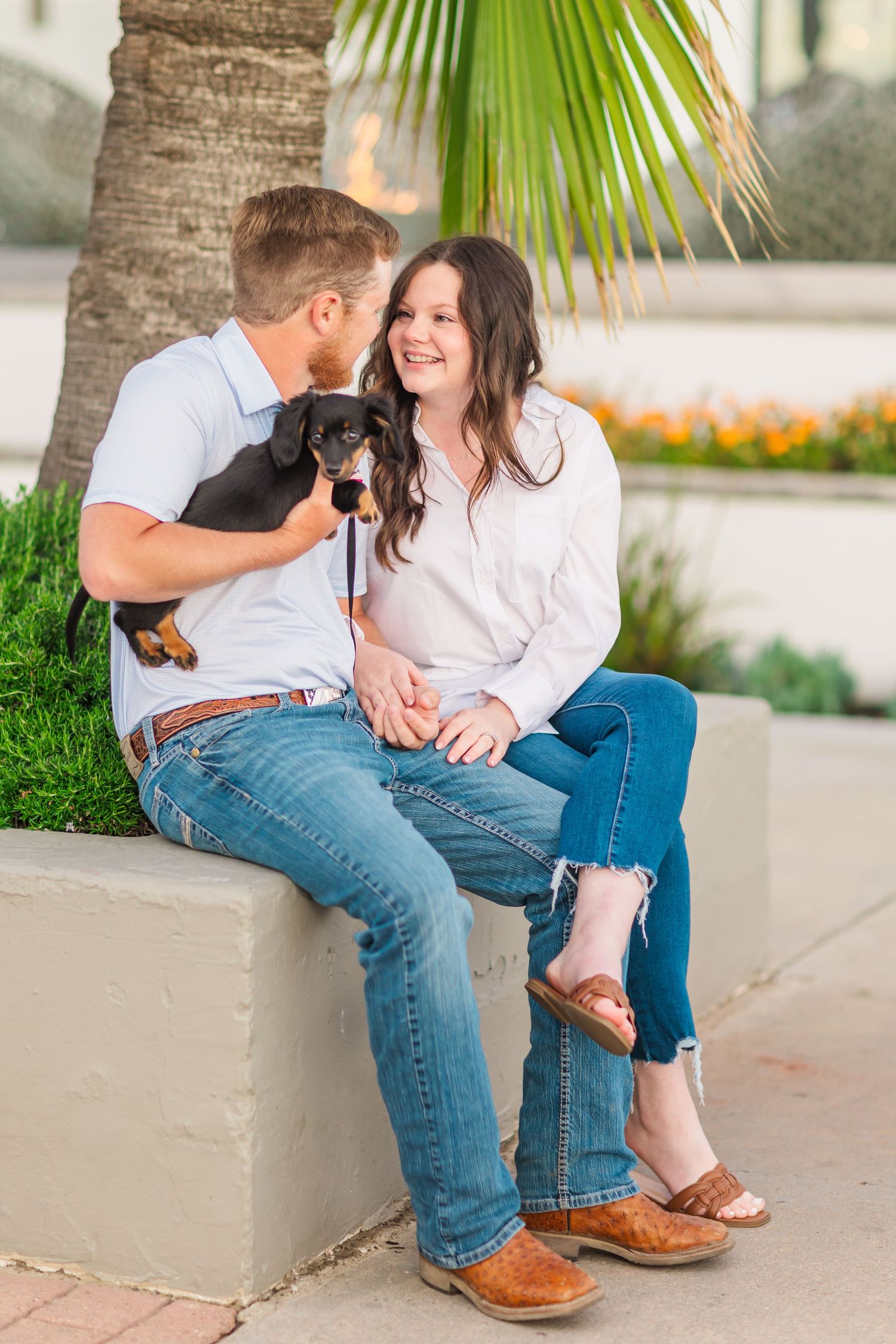 A couple sitting on concrete ledge with small black dog near tropical palm trees.