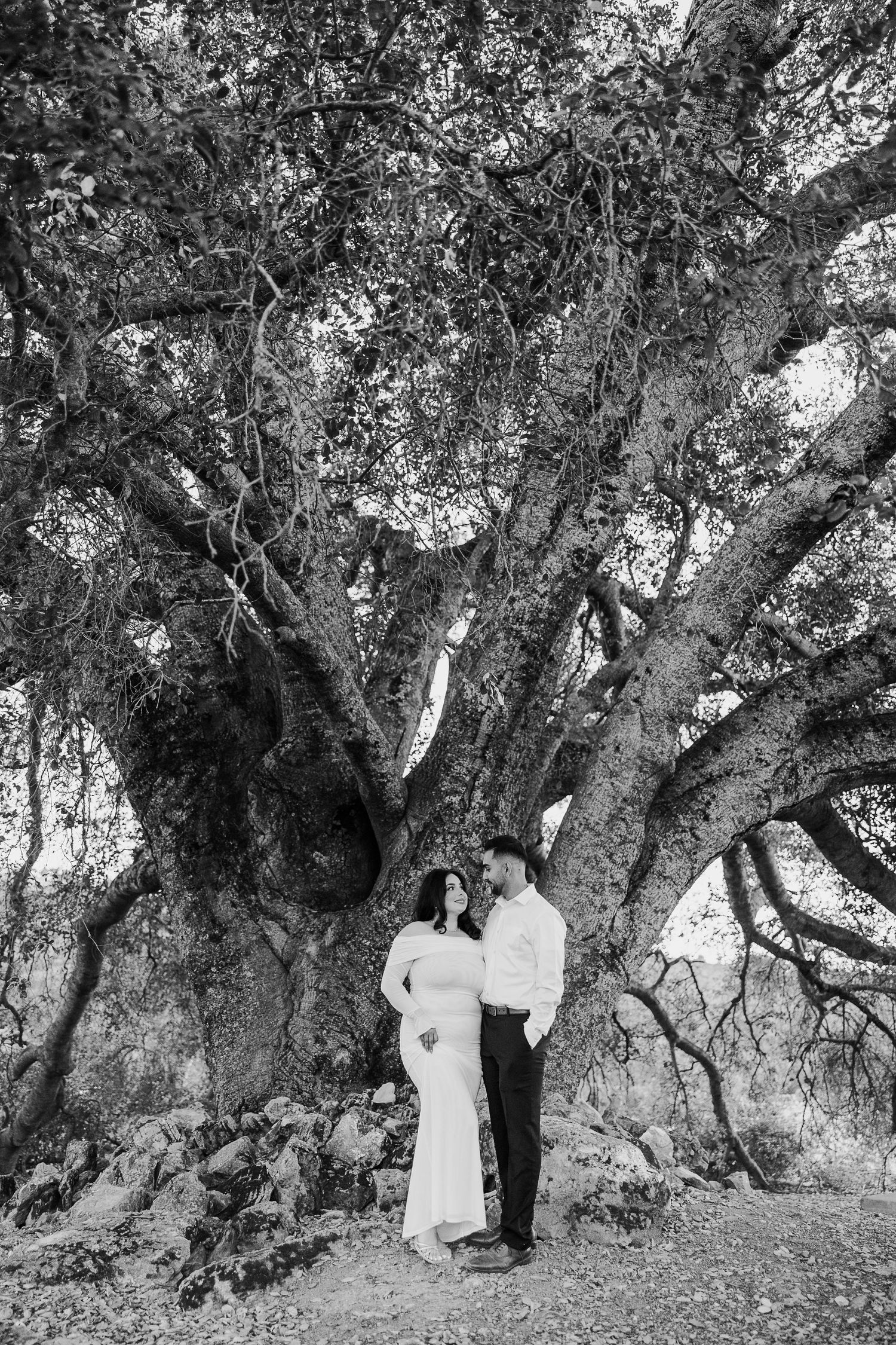 A romantic black and white photo series of a couple under ancient olive trees in a dreamy garden setting.