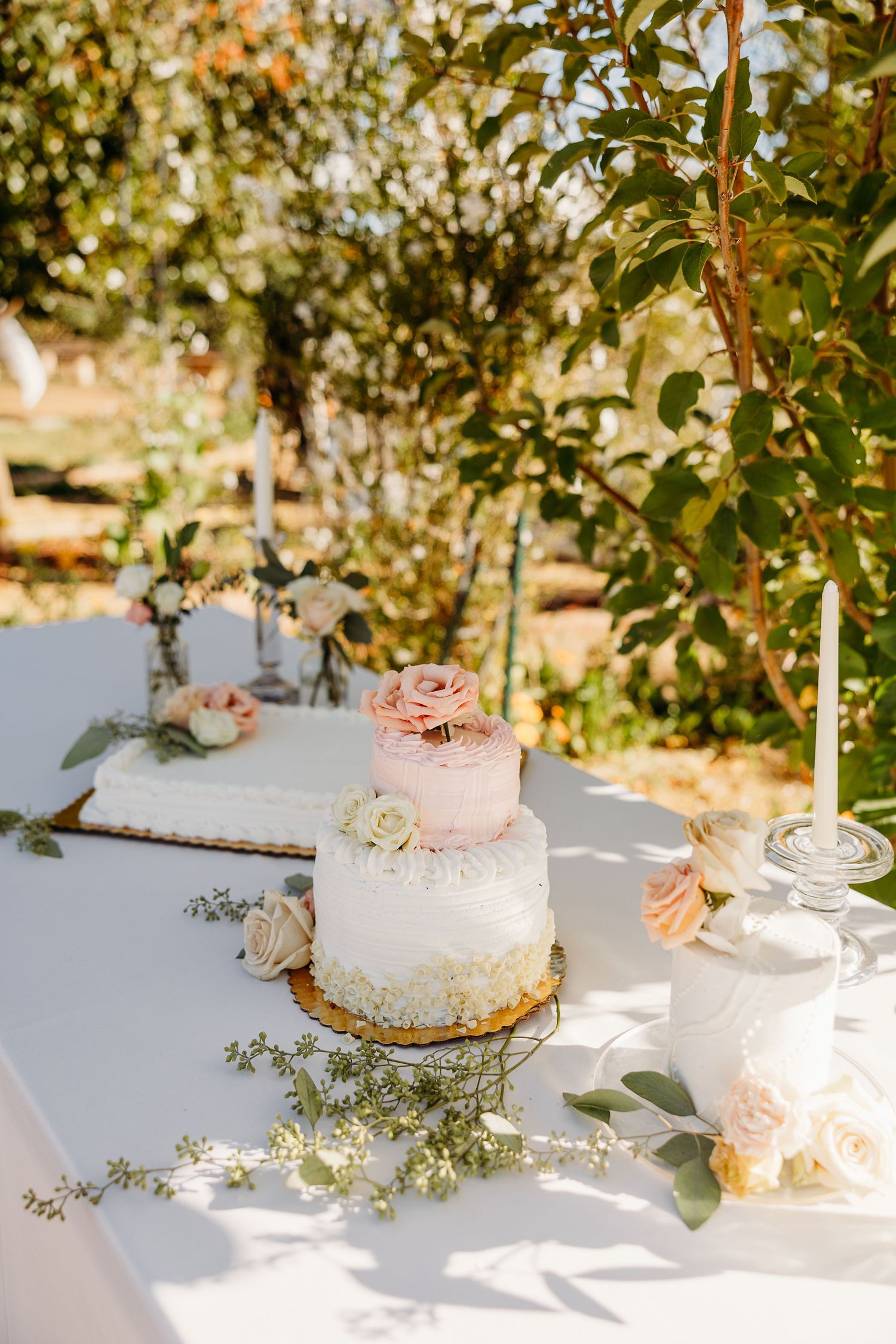 A white wedding cake with delicate pink roses sits on a table outdoors surrounded by greenery and natural light.