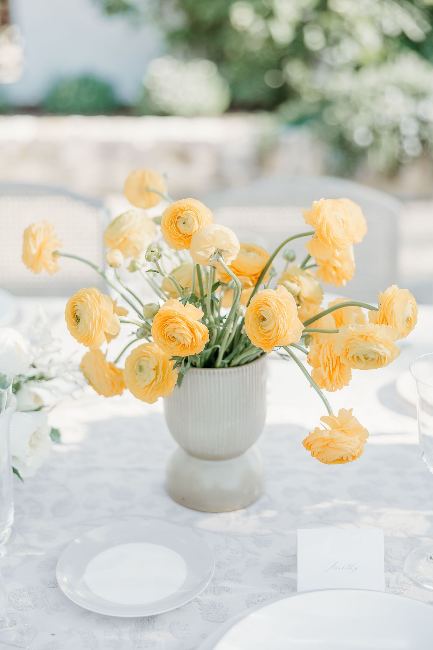 Yellow ranunculus flowers arranged in a white ceramic vase on a light table setting.