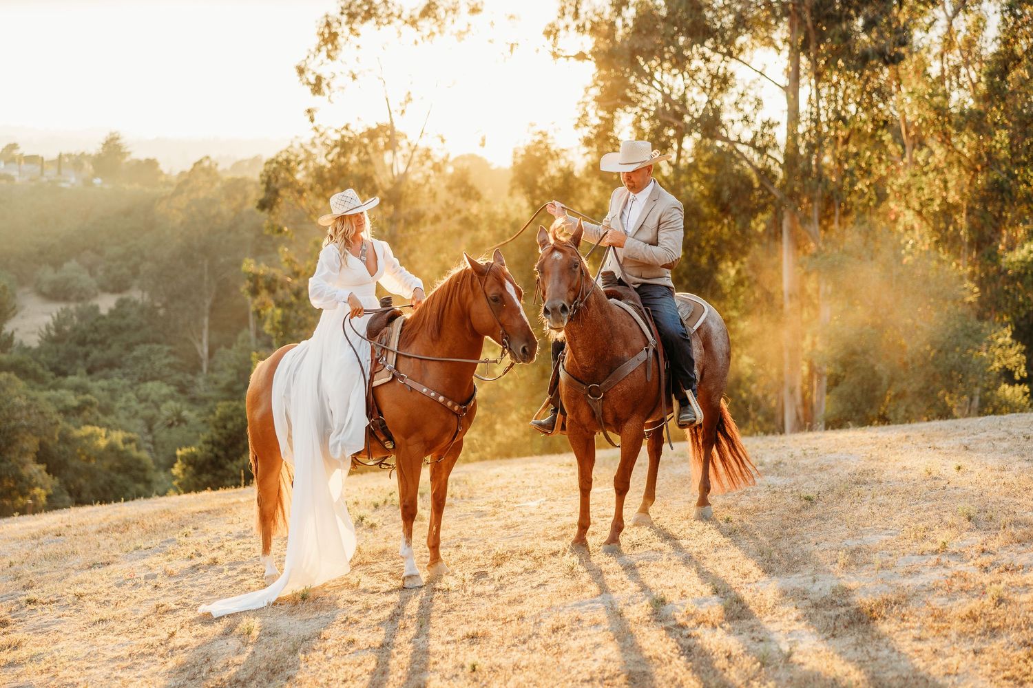 Riders on brown horses pose together during golden hour on a hillside trail.