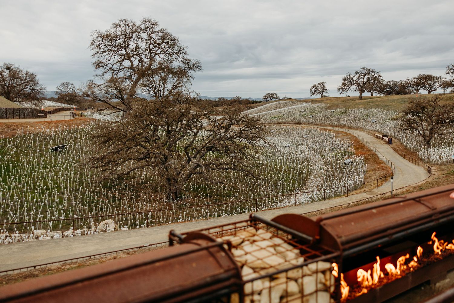 Rolling hills with oak trees and winding dirt roads lead to a rustic barn with glowing lights at sunset.