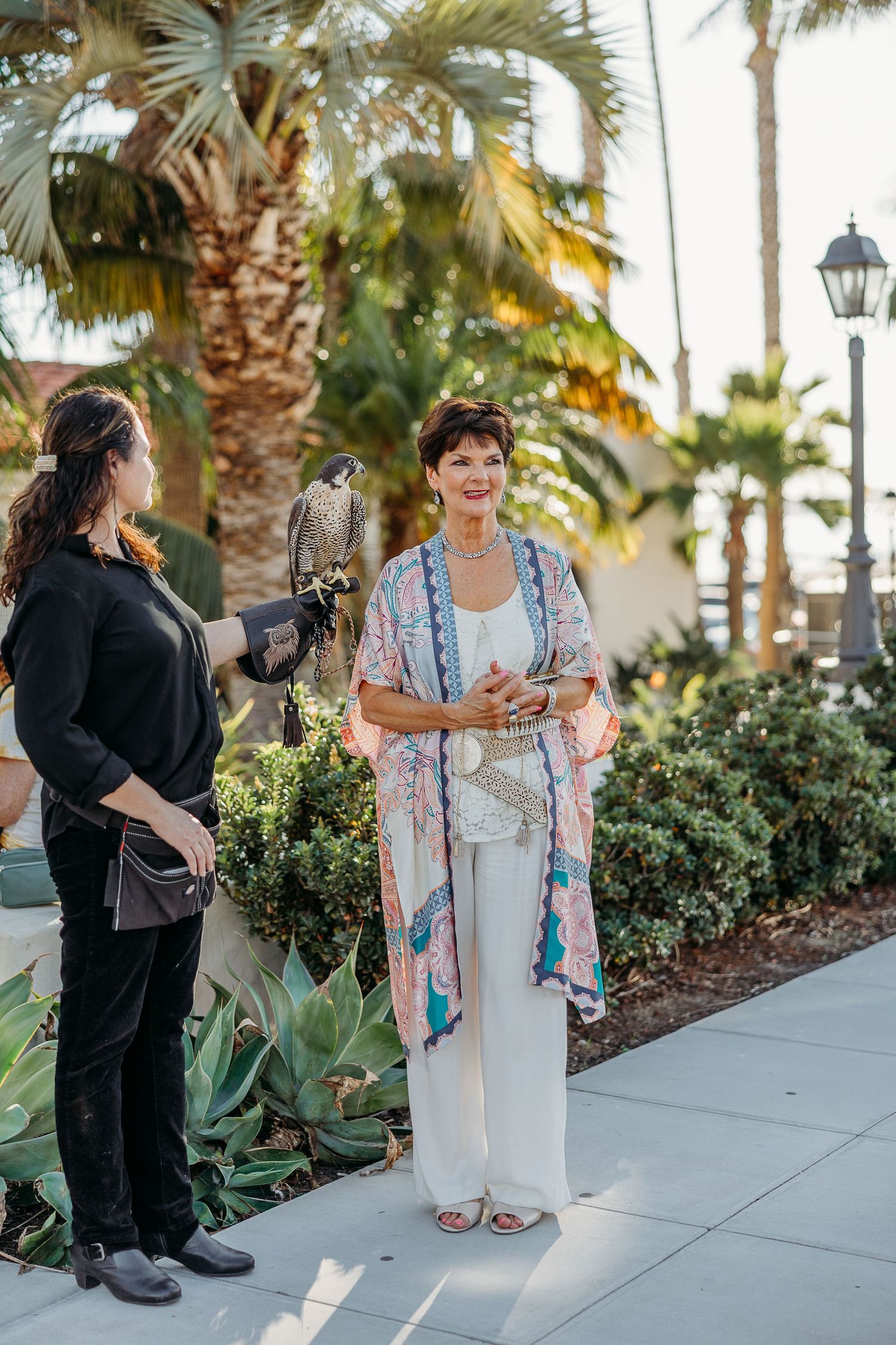 A falconer and bird handler presenting a hawk during an outdoor event with palm trees in the background.