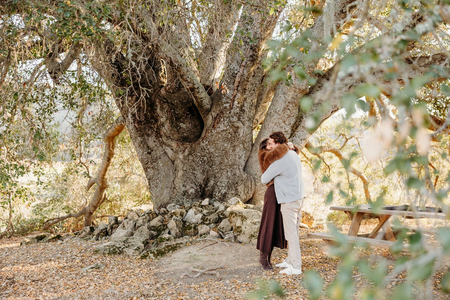 Two people embrace beneath sprawling tree branches in a romantic outdoor photoshoot.