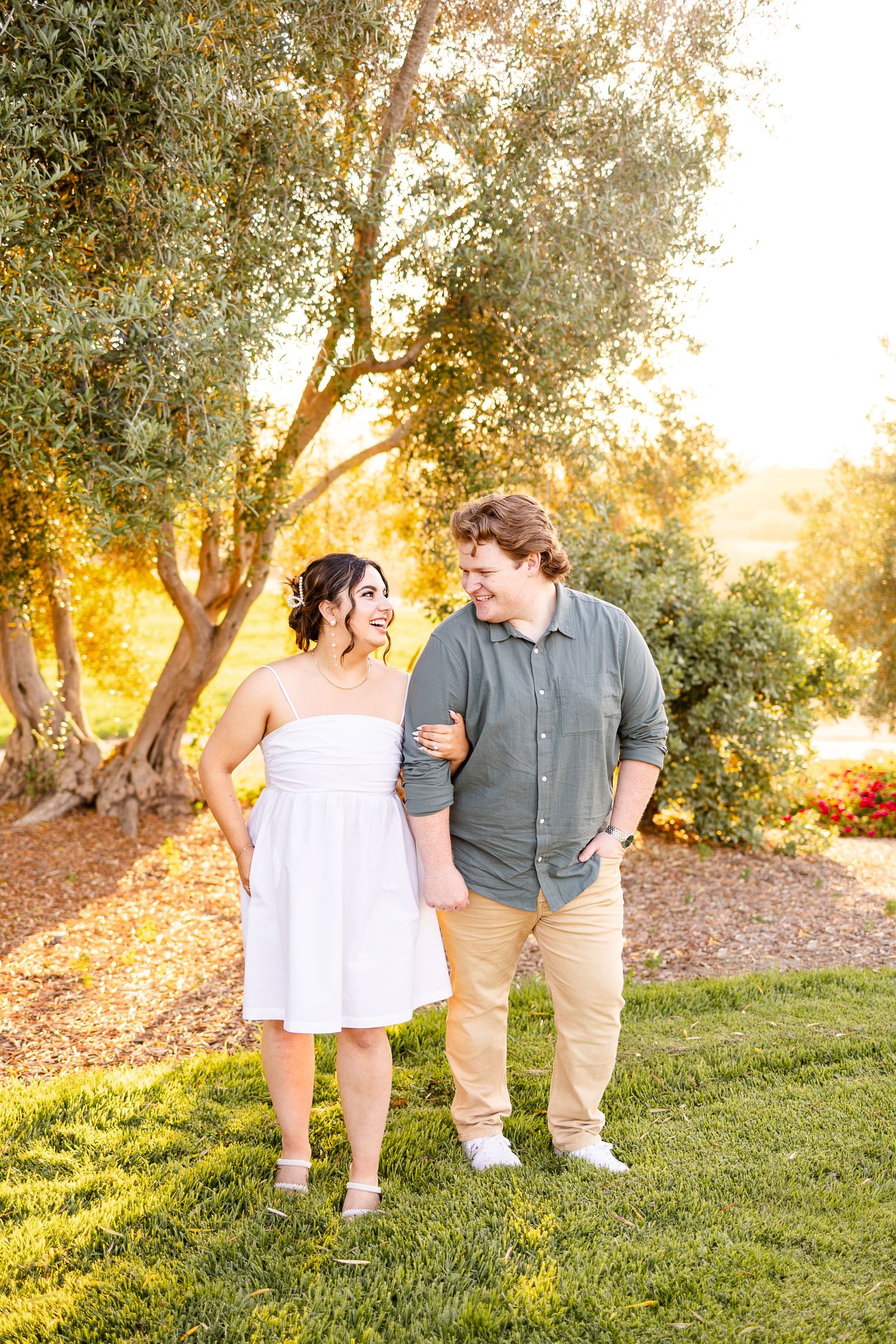 Two people walk together on grass during golden hour beneath olive trees.
