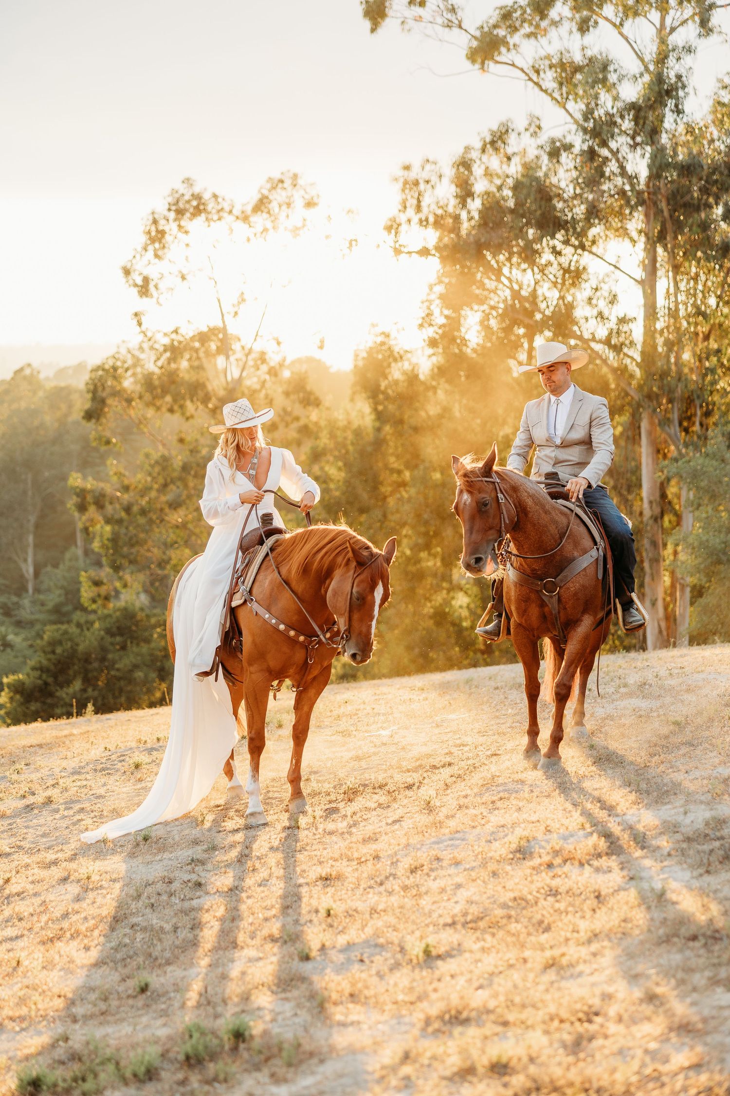 Two people horseback riding along a sunlit trail with eucalyptus trees in the background.