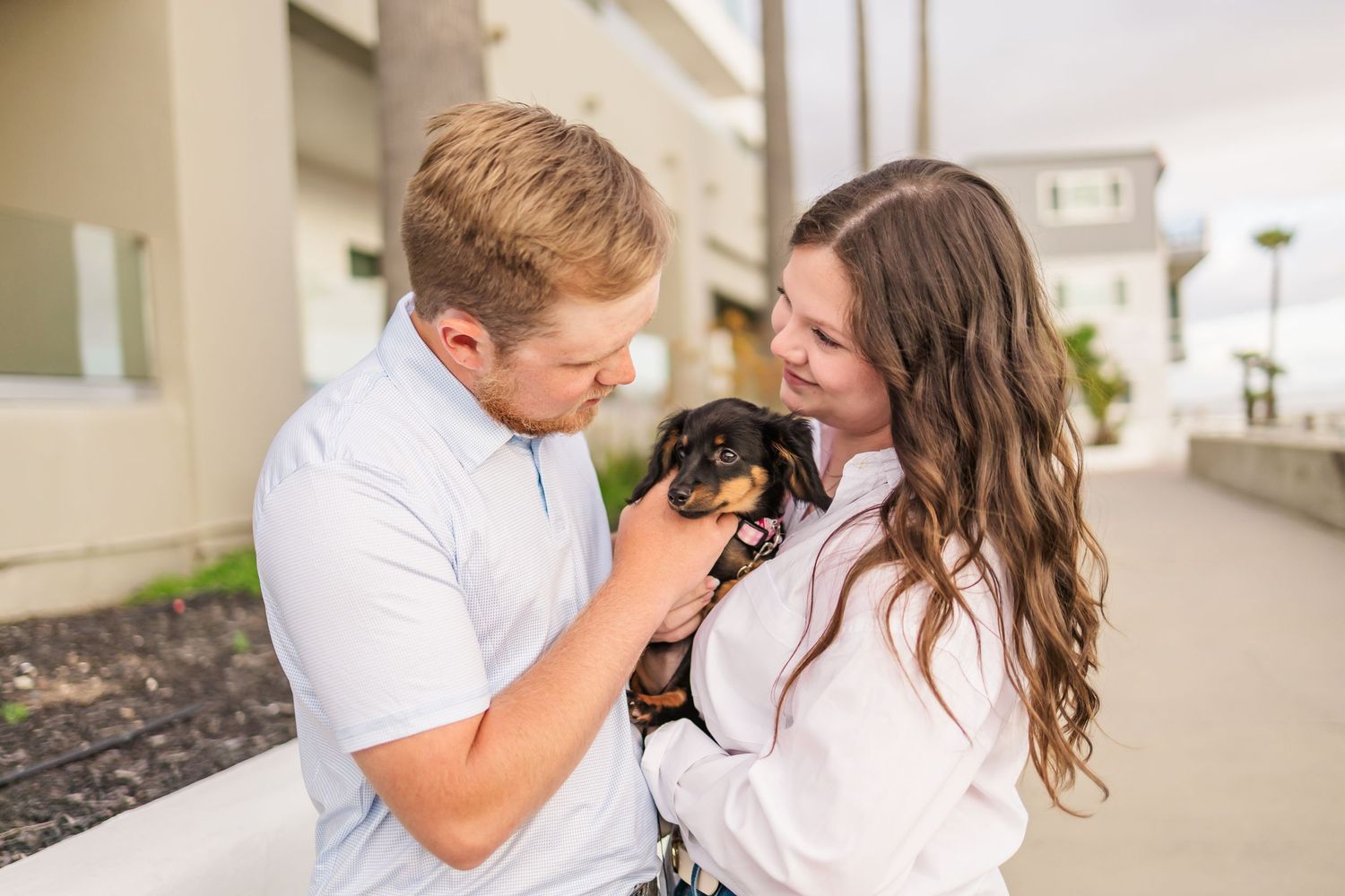 Couple holding small black dachshund puppy together outside building.