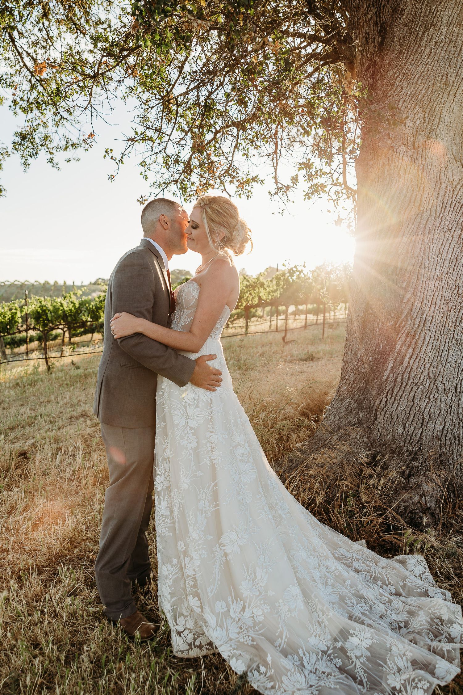 A romantic sunset wedding photo in a vineyard with a large tree backdrop.