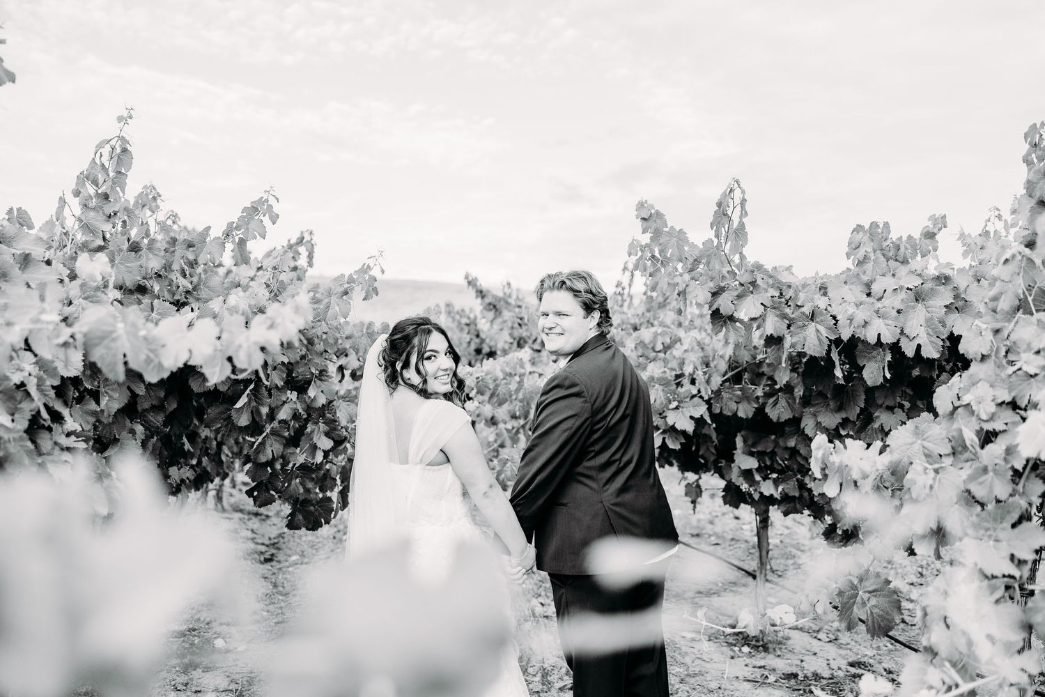 Black and white portrait of wedding couple among vineyard vines.