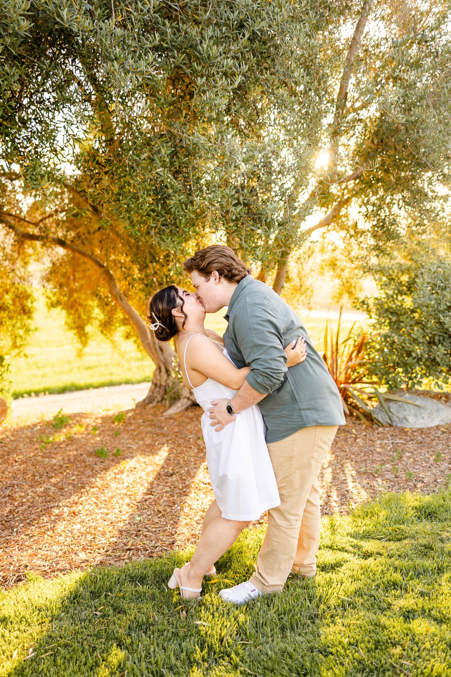 A romantic dip pose captured during golden hour beneath olive trees.