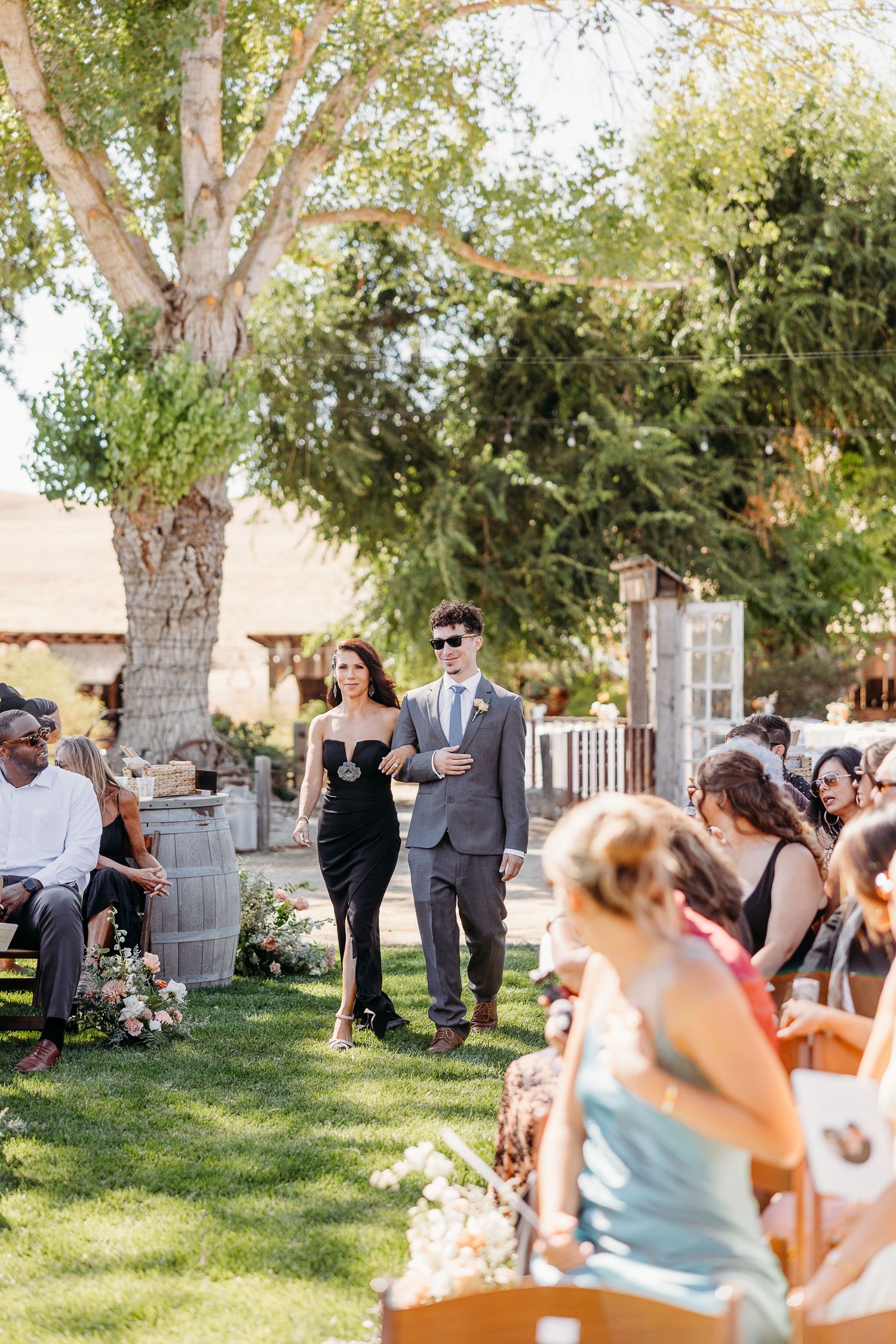 Wedding guests gather outdoors on a sunny day beneath large shade trees for a casual celebration.