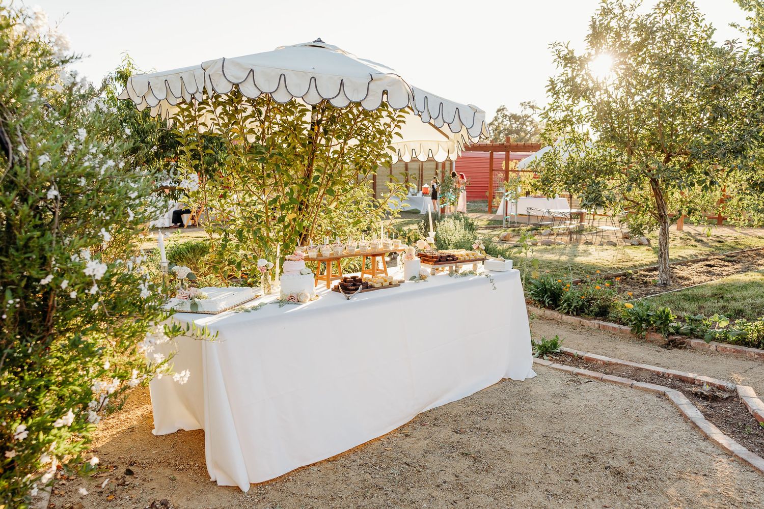 Outdoor wedding venue with white benches and mountain views in a desert landscape setting.
