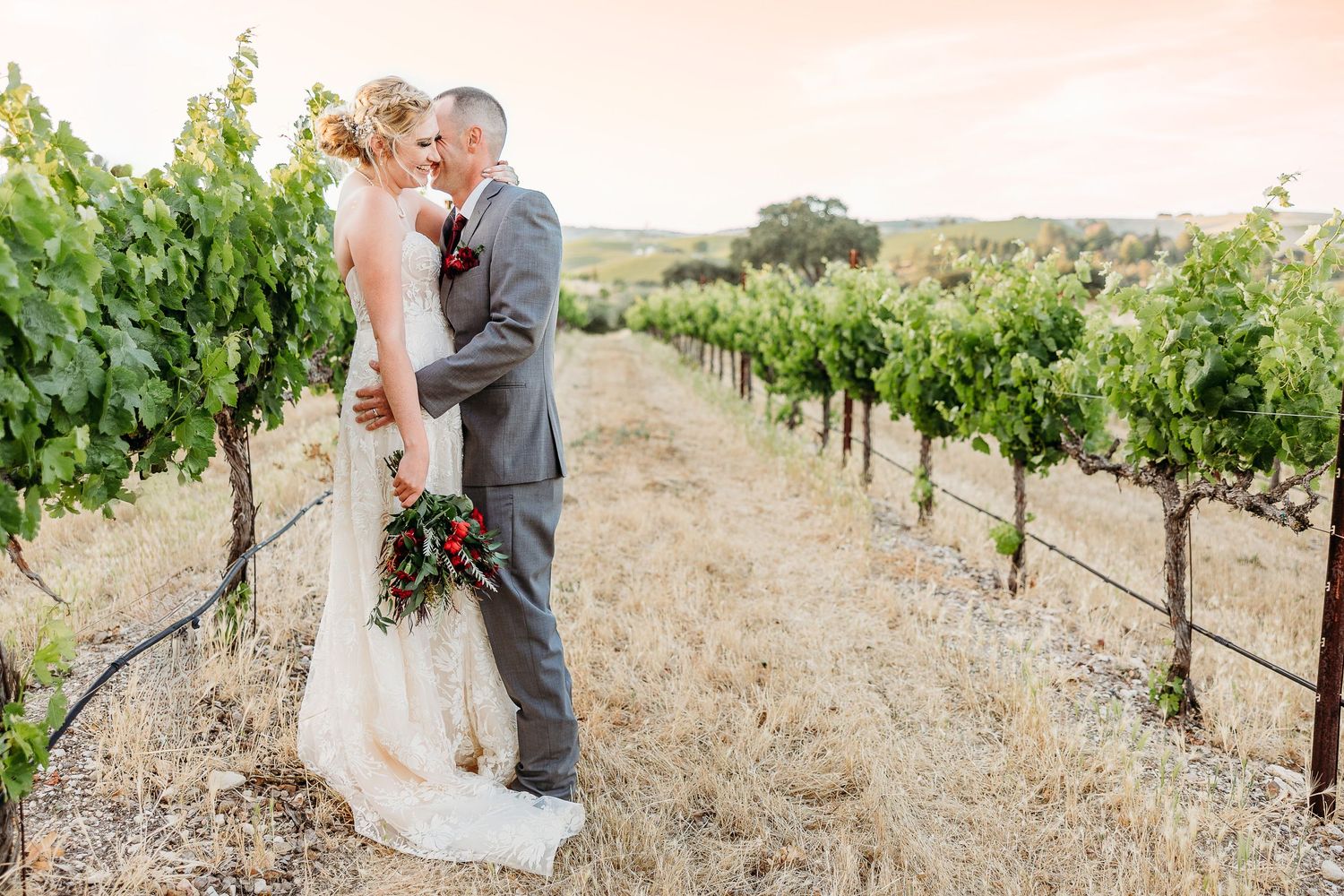 Newlyweds share a romantic moment between rows of grapevines at sunset.