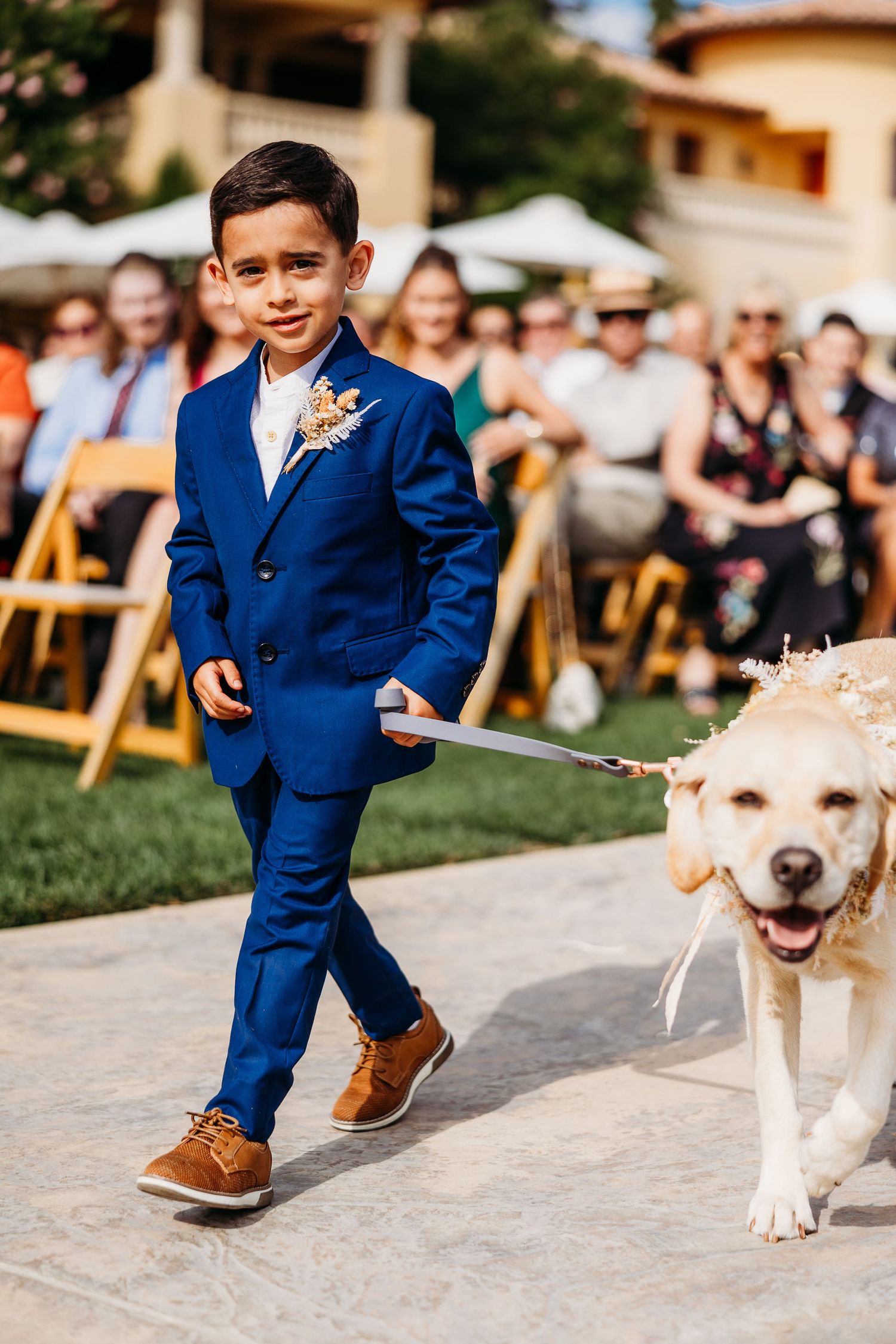 Young ring bearer in blue suit walks down aisle with happy yellow Labrador dog.