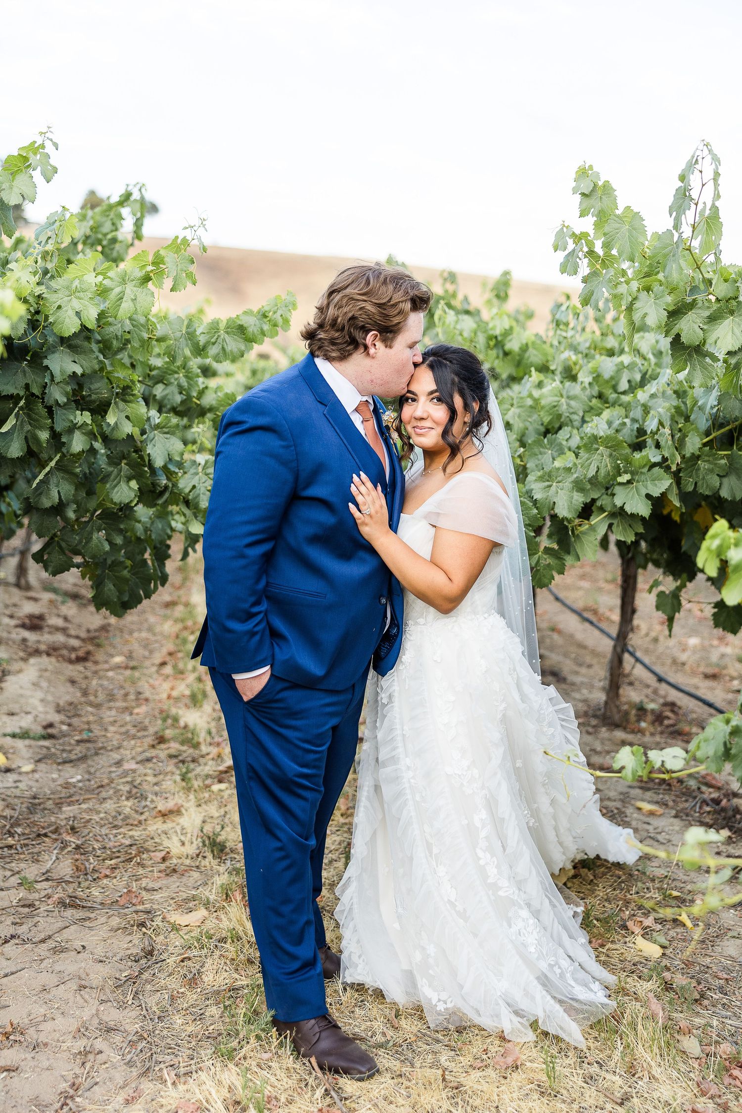 Romantic newlywed couple share intimate moment in vineyard wearing blue suit and lace wedding dress.