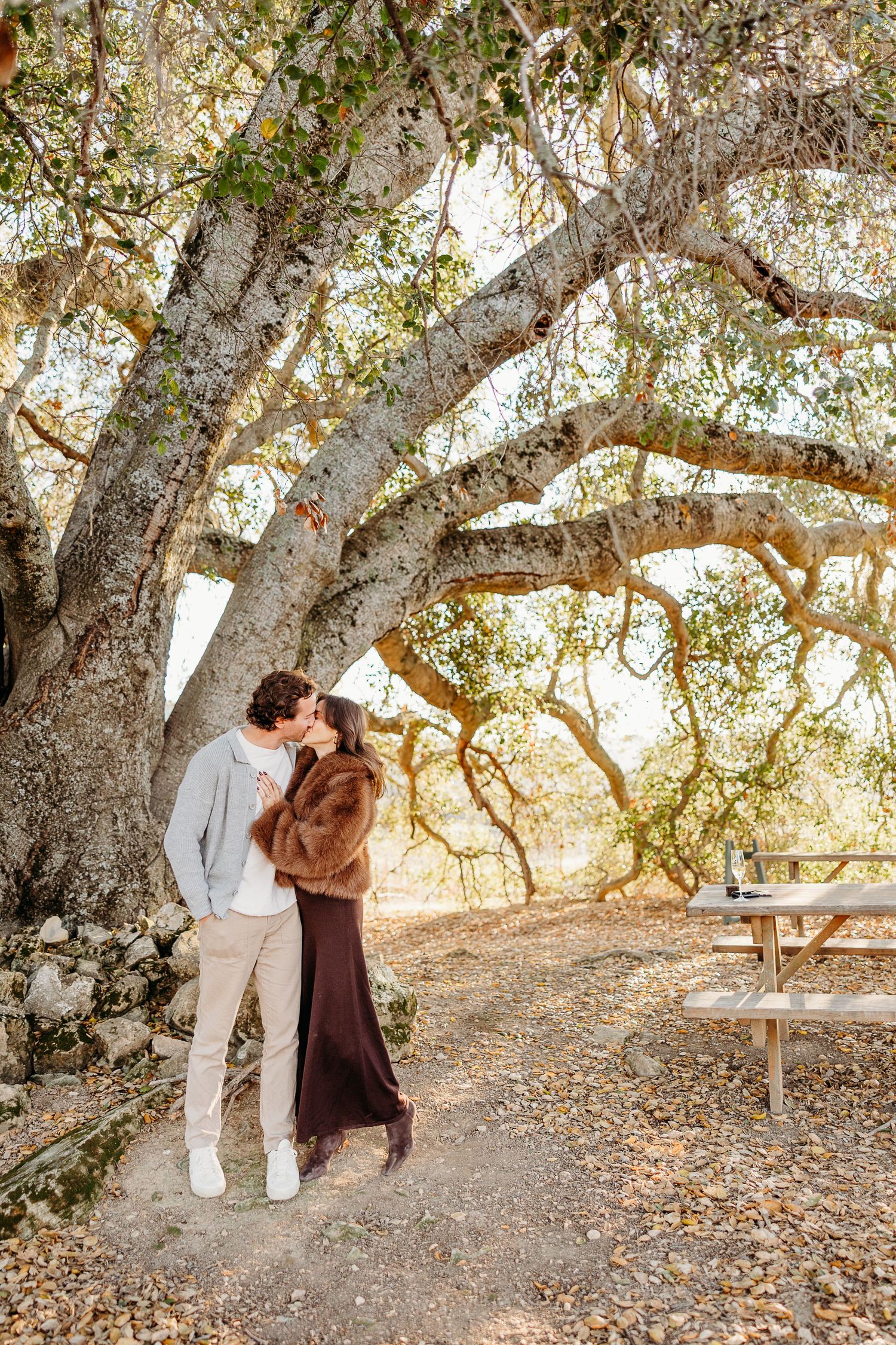 Couple shares intimate moment beneath sprawling oak tree branches in warm afternoon light.