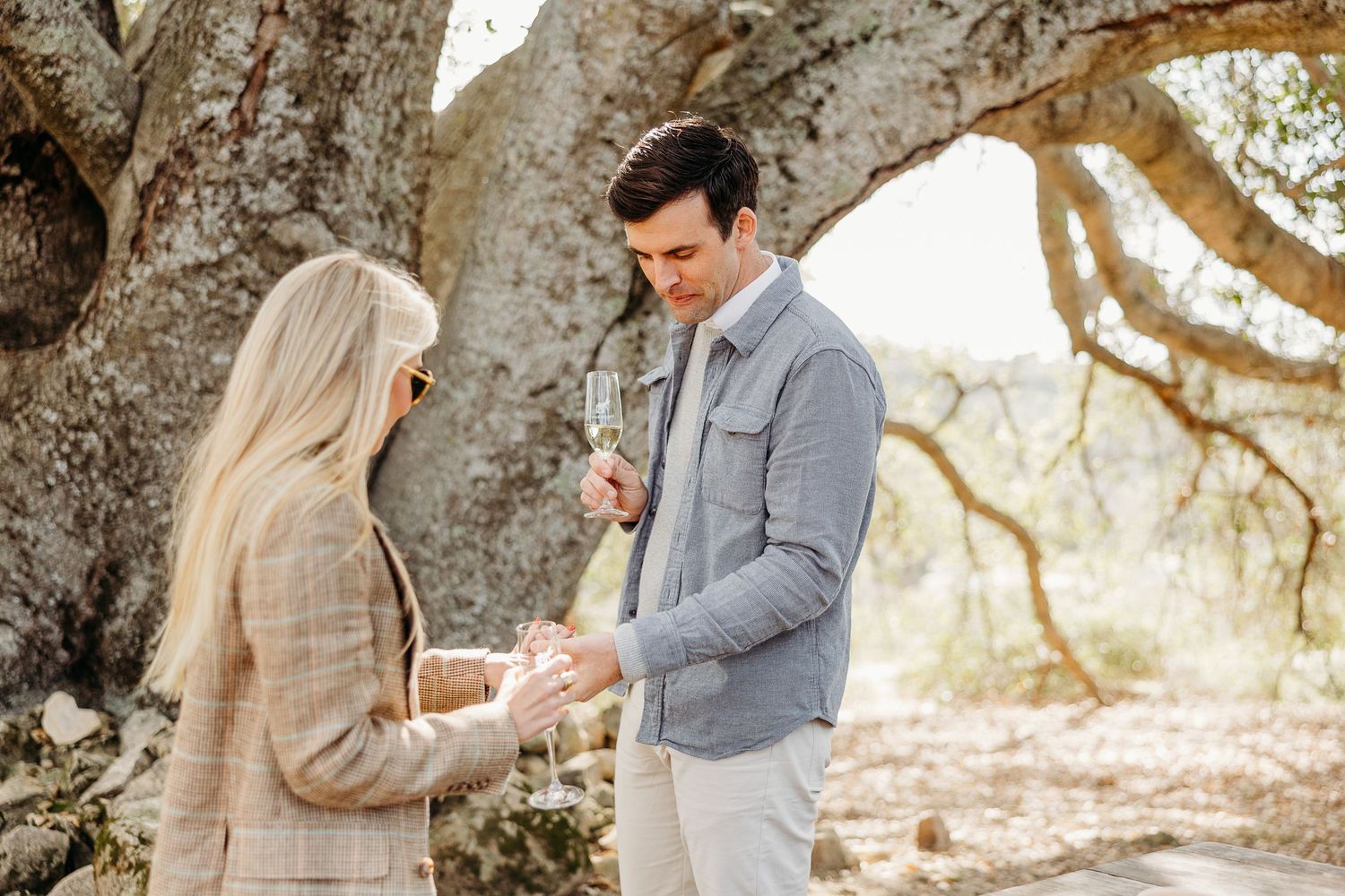 Couple sharing an intimate moment beneath sprawling tree branches in warm sunlight.