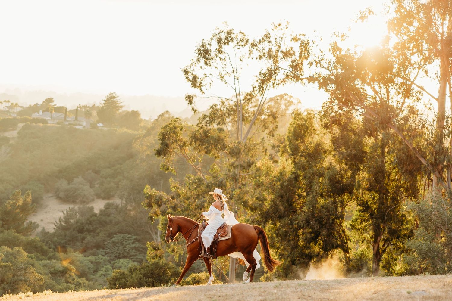 Horse rider silhouetted against golden sunset in rolling hills.