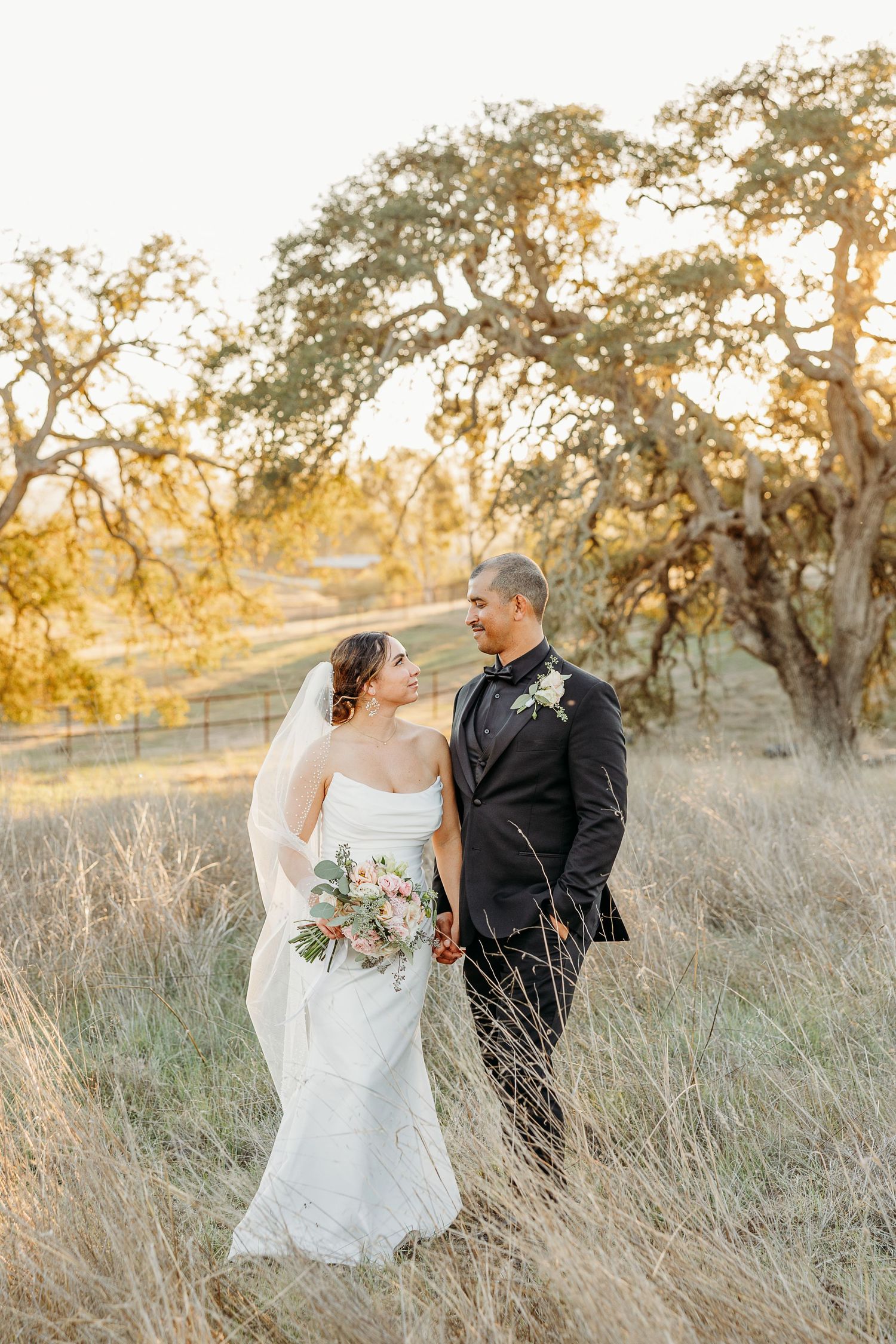 A couple poses in a golden field at sunset with oak trees in the background.