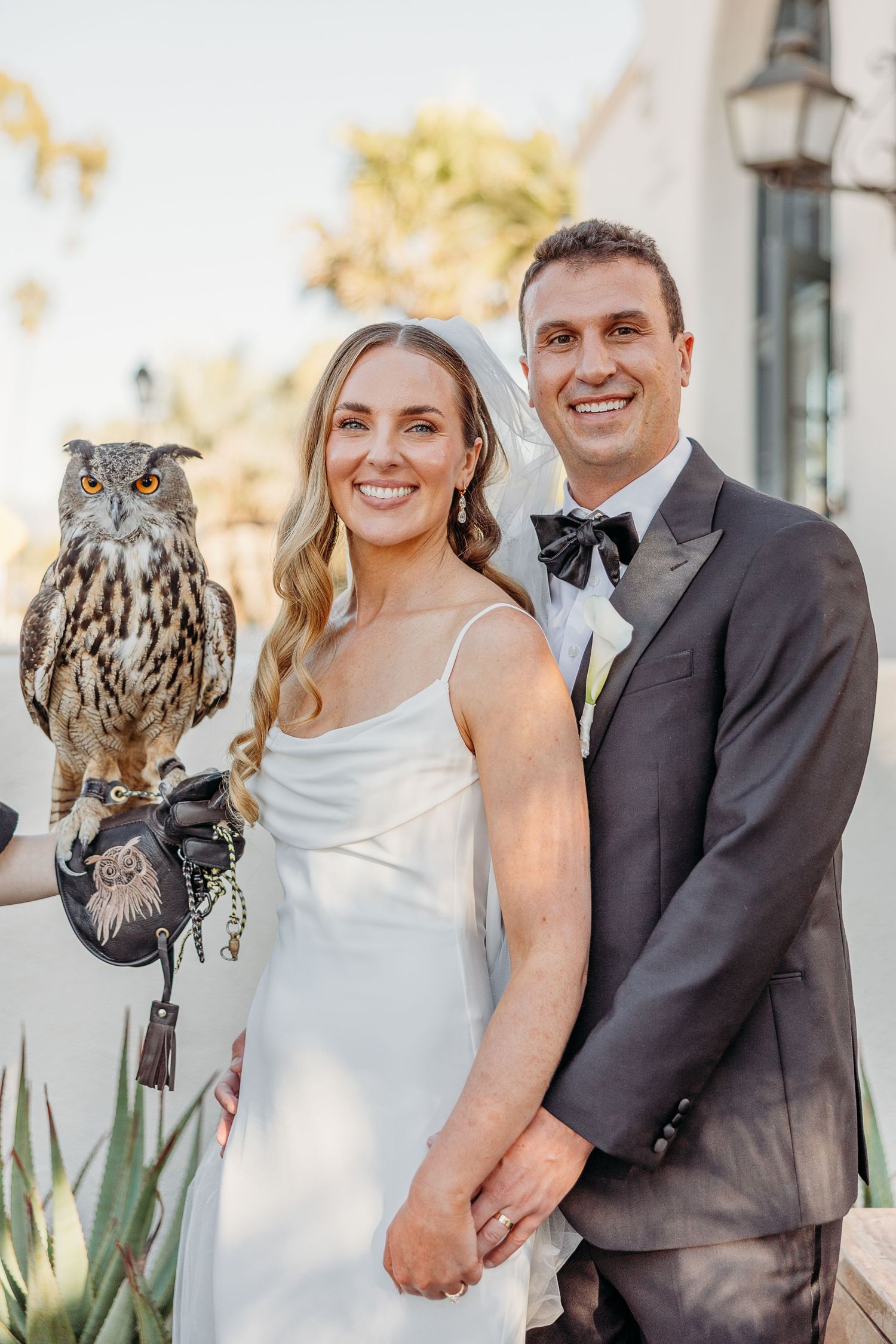 A unique wedding photo featuring a majestic owl perched near the couple against a light-colored wall.