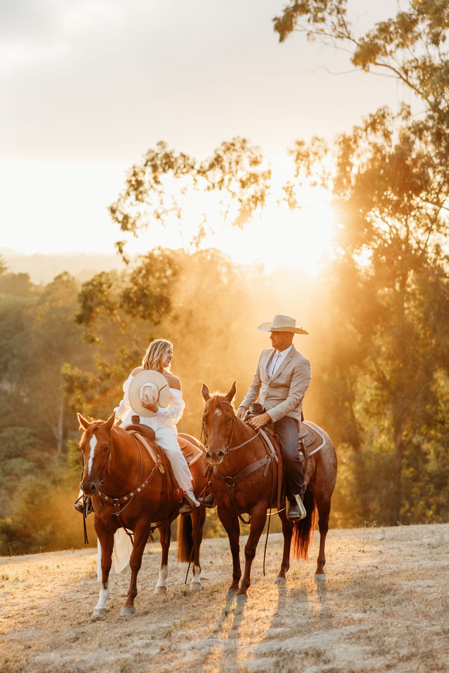 Two riders on horseback silhouetted against a golden sunset through eucalyptus trees.