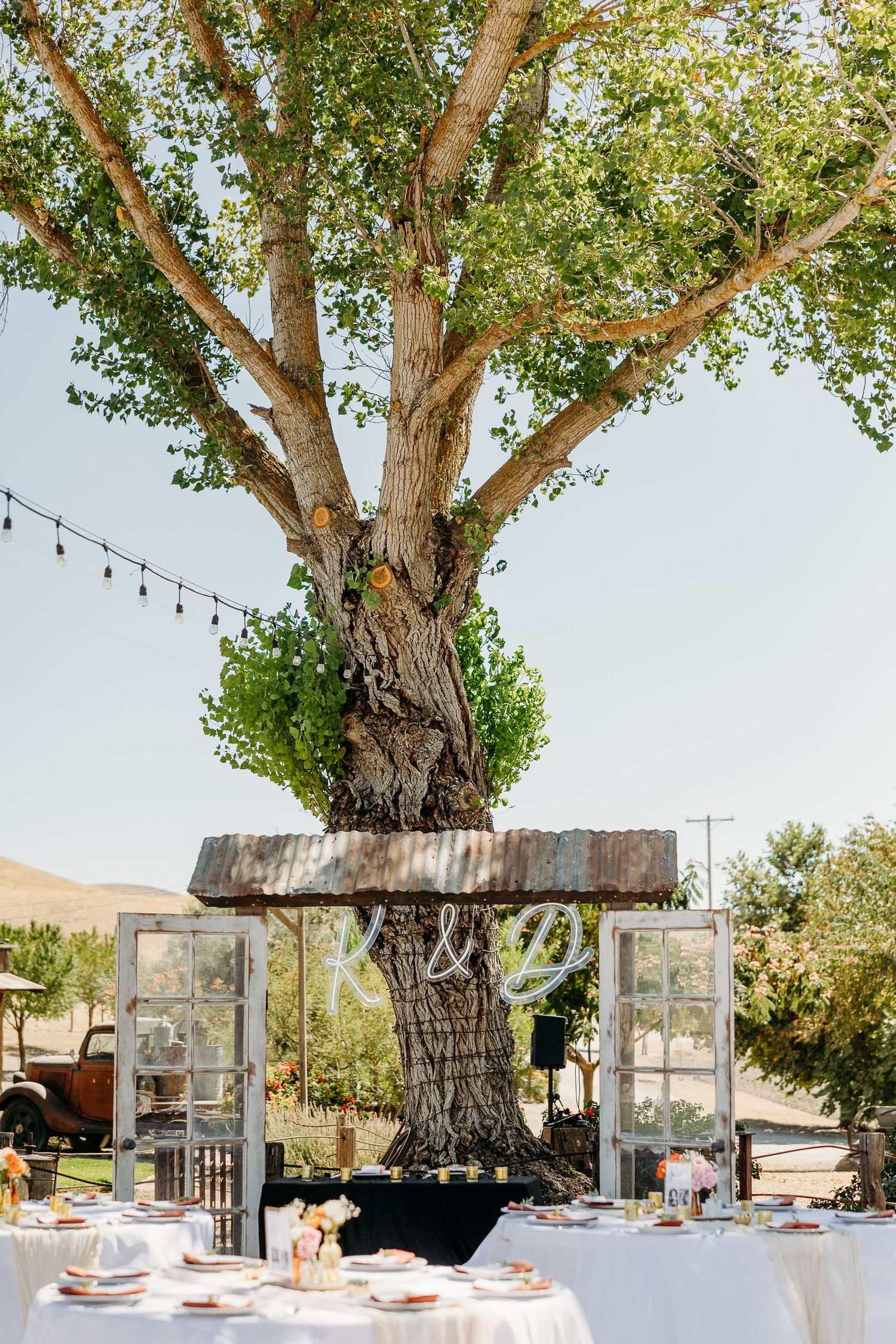 Rustic outdoor dining setup under large trees with string lights and elegant table settings for a wedding reception.