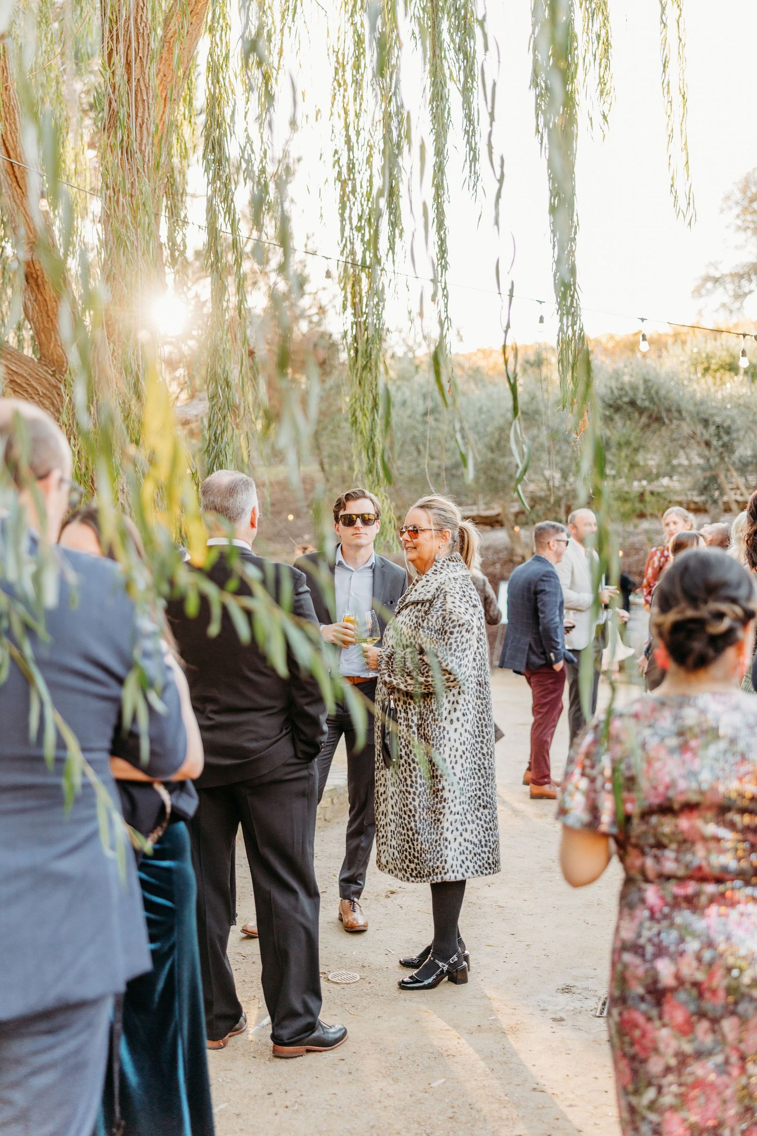 Wedding guests gather under elegant willow trees during an outdoor reception at sunset.